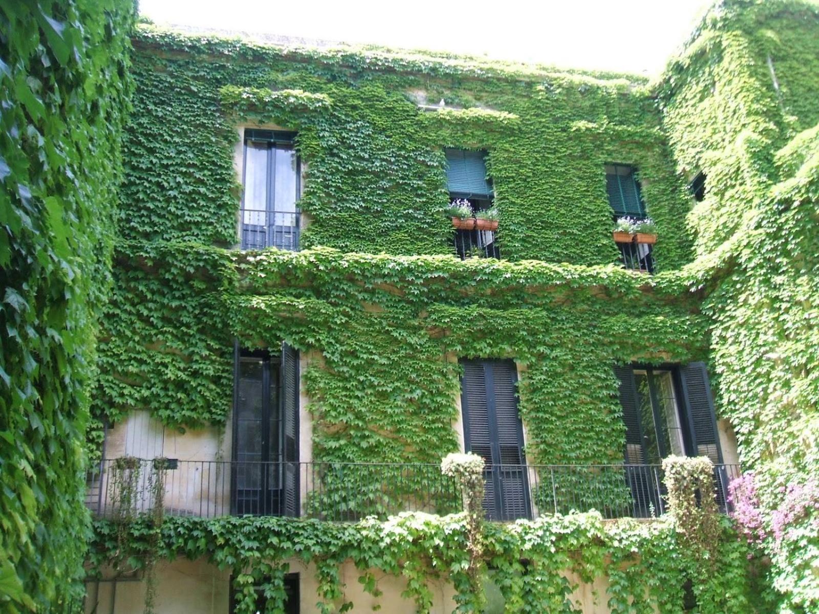 Palazzo Rollo