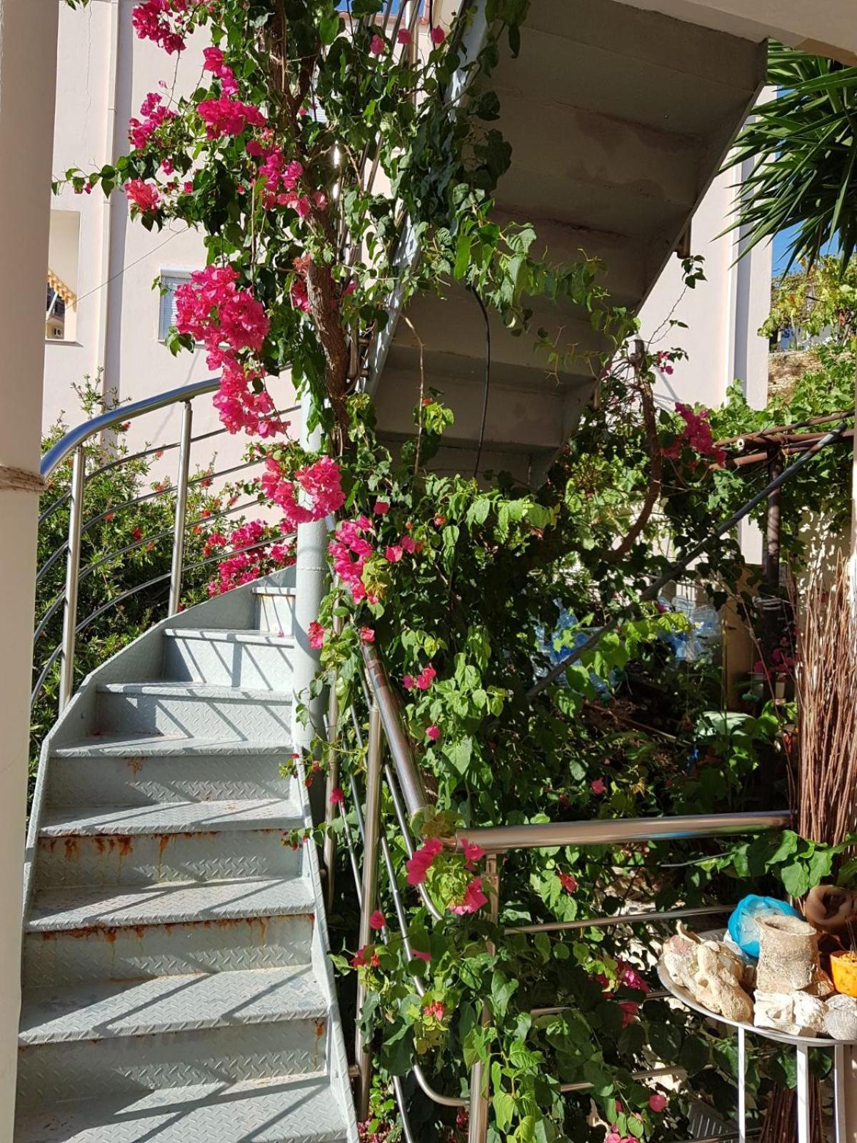 ★ Meniko's House ★ Amazing Sea View