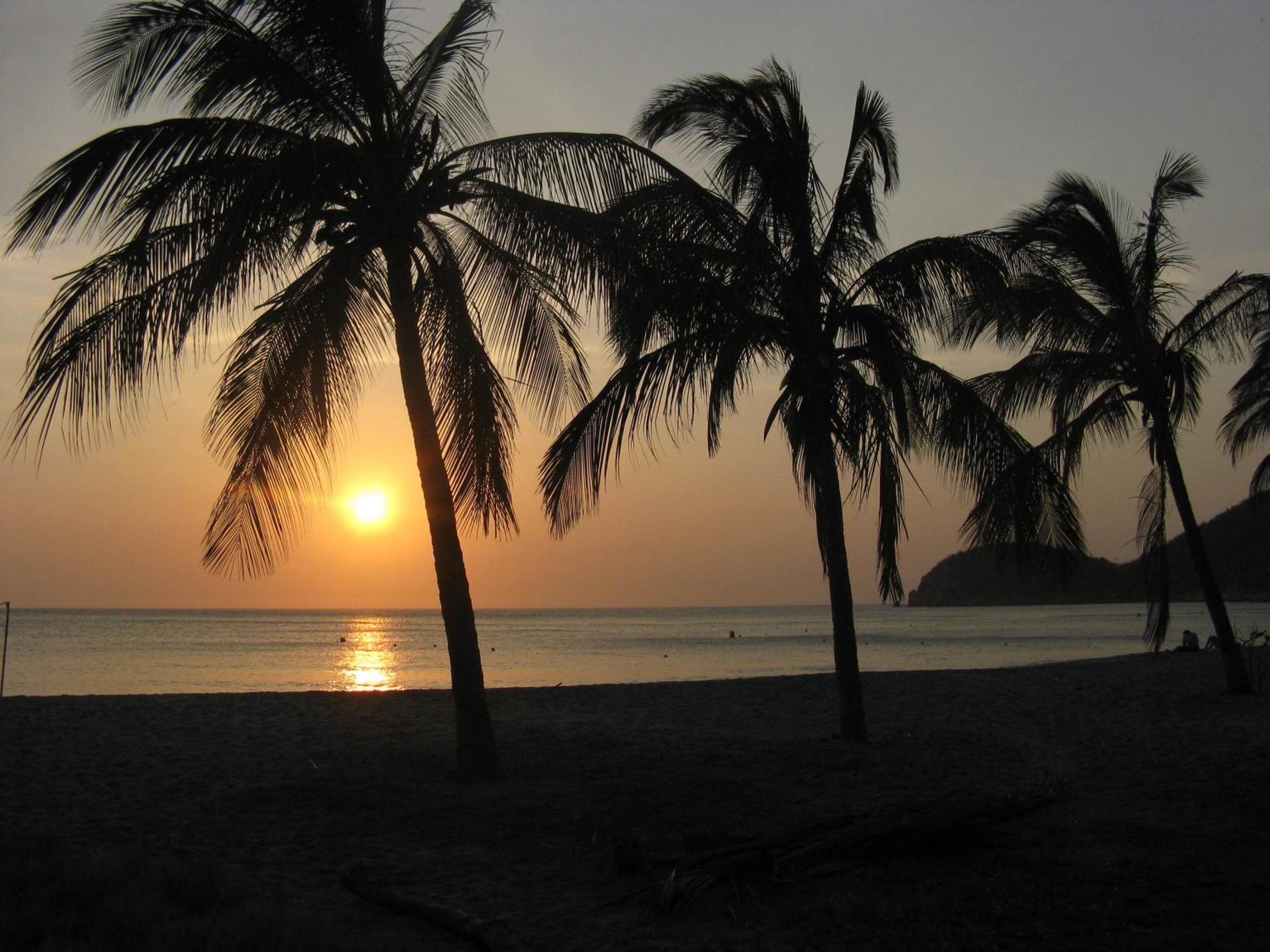 Playa del Ritmo Beach Hostel & Bar - Adults Only