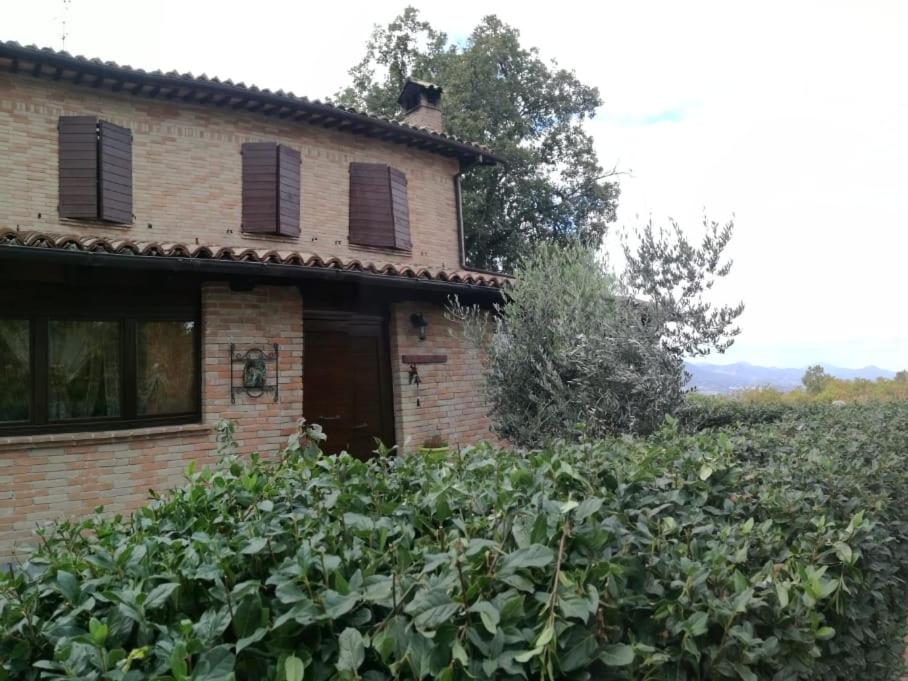 Il Castagneto