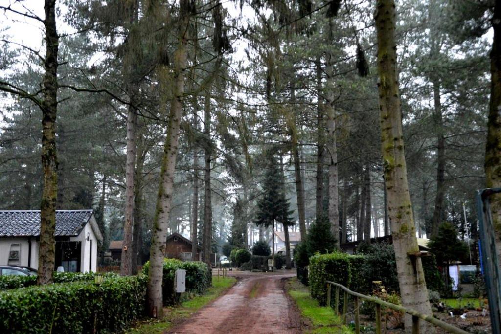 Luxe vakantiehuis in het bos view 2