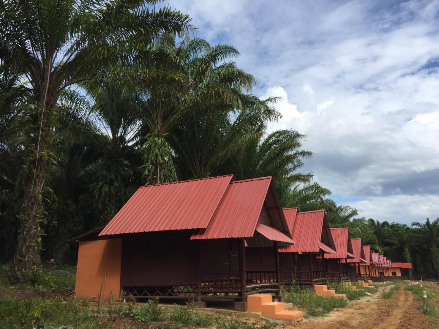 Khao Sok Evergreen House