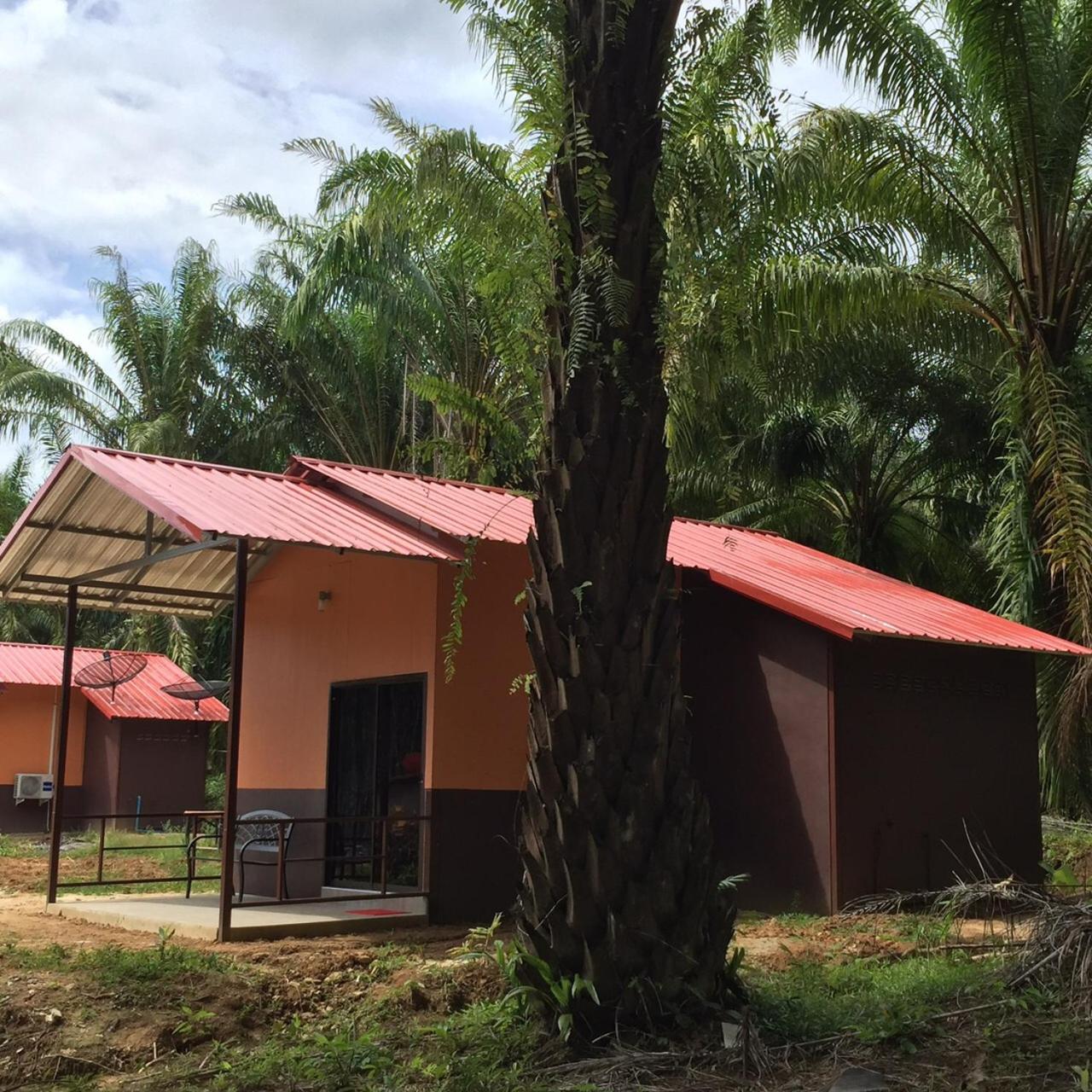 Khao Sok Evergreen House
