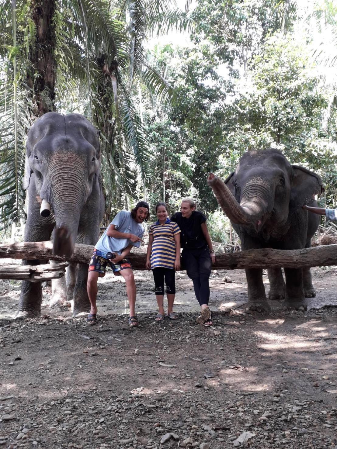 Khao Sok Evergreen House