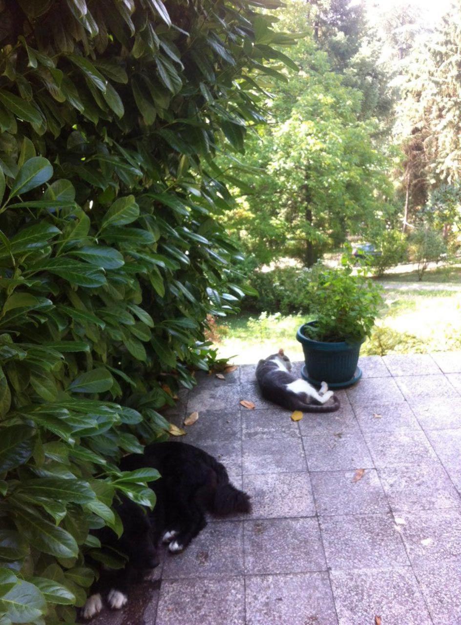 Photo 38