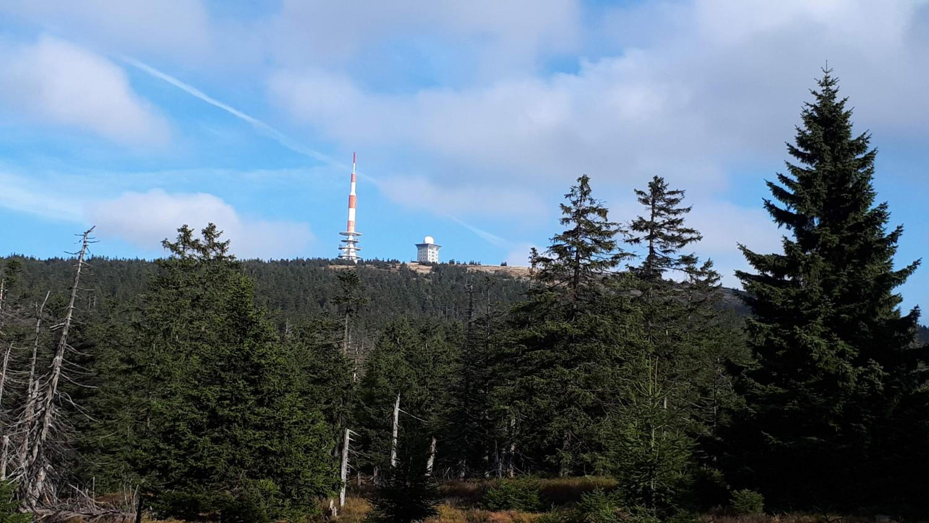 Harz Blick
