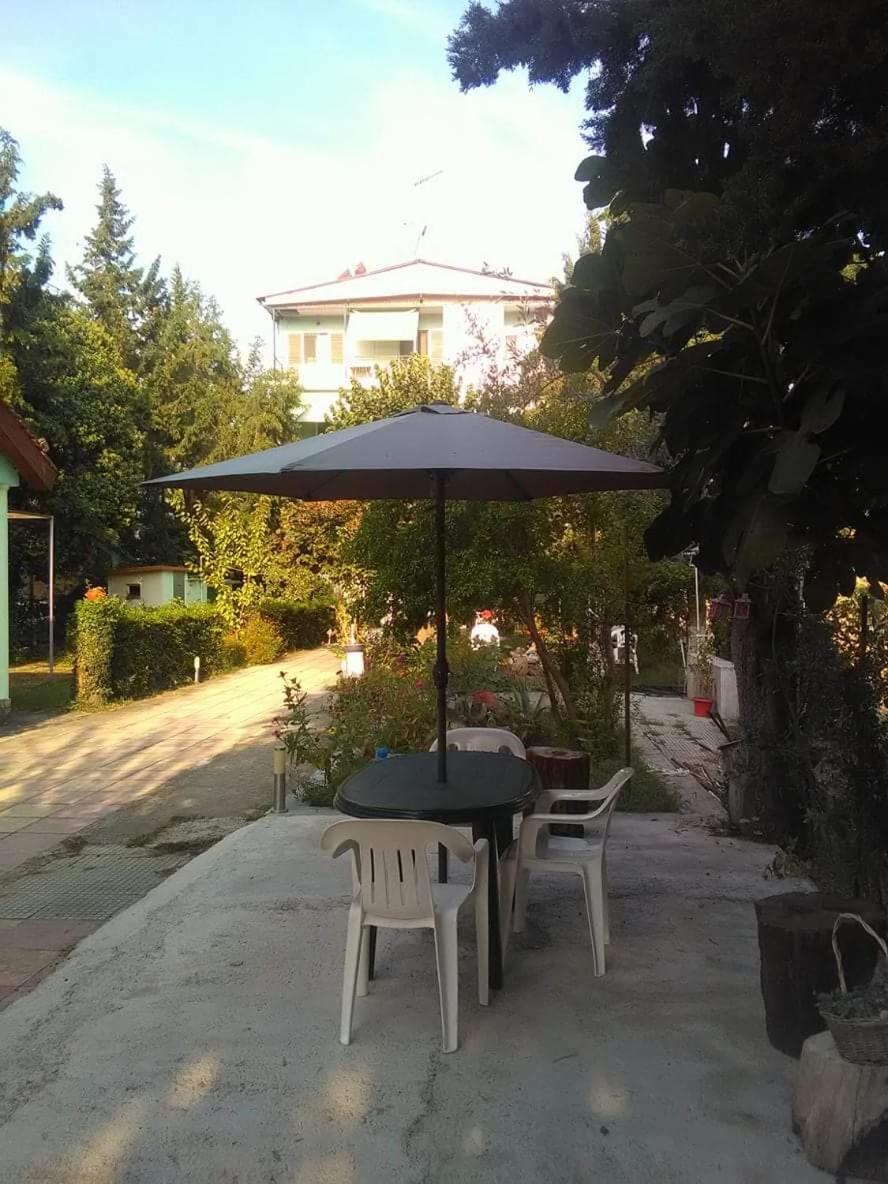 Photo 19