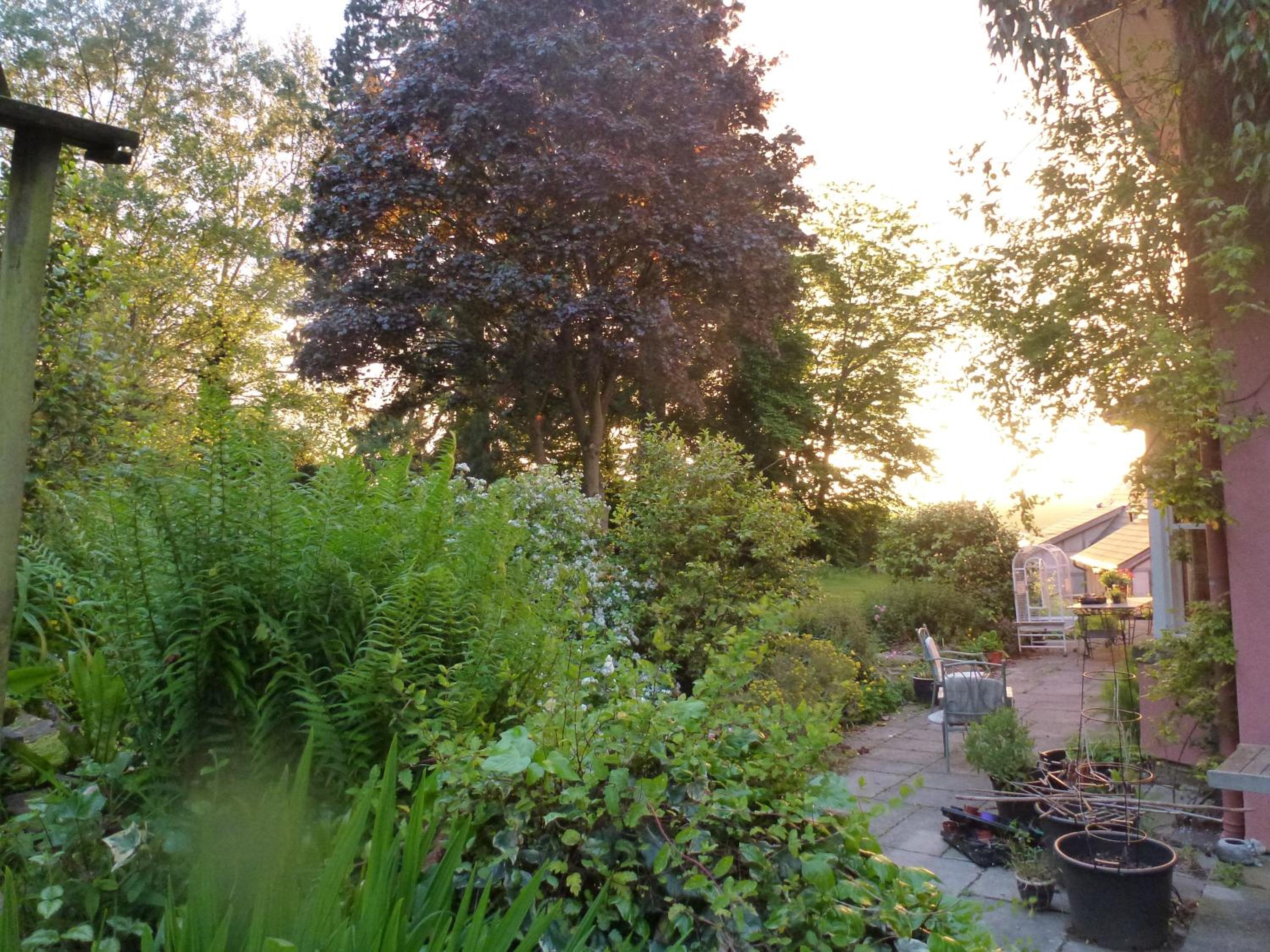 Photo 32