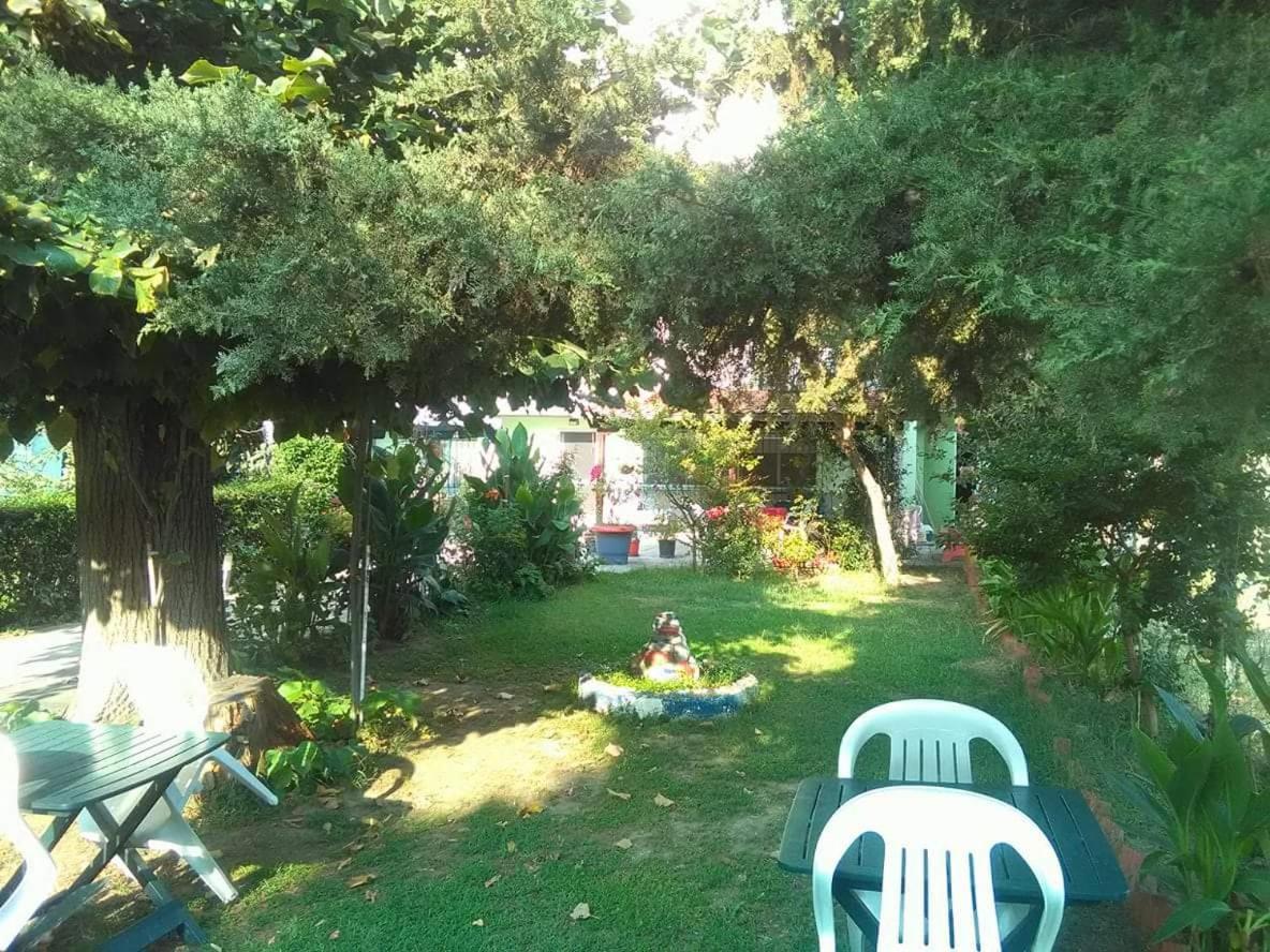 Photo 18