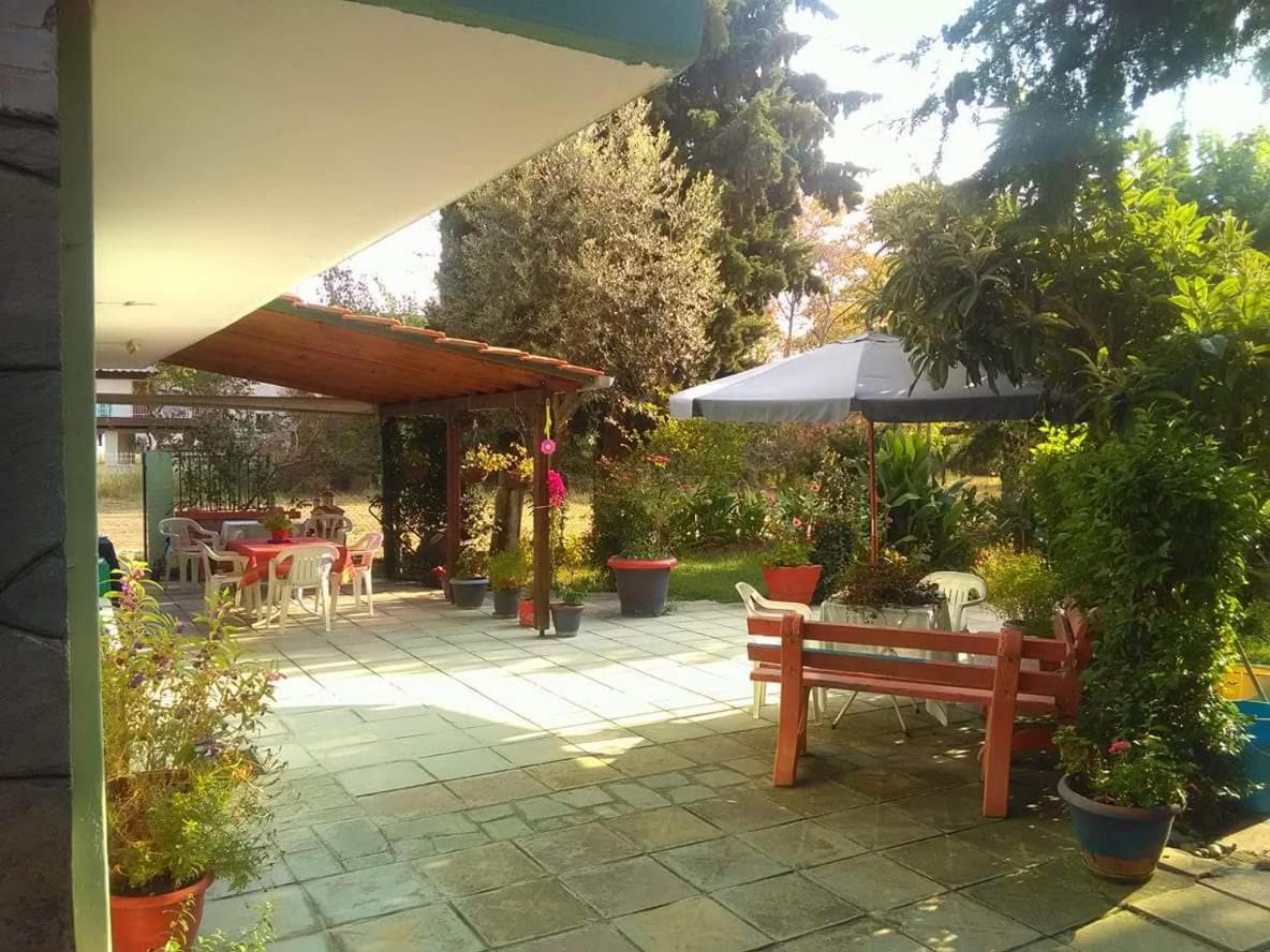 Photo 21