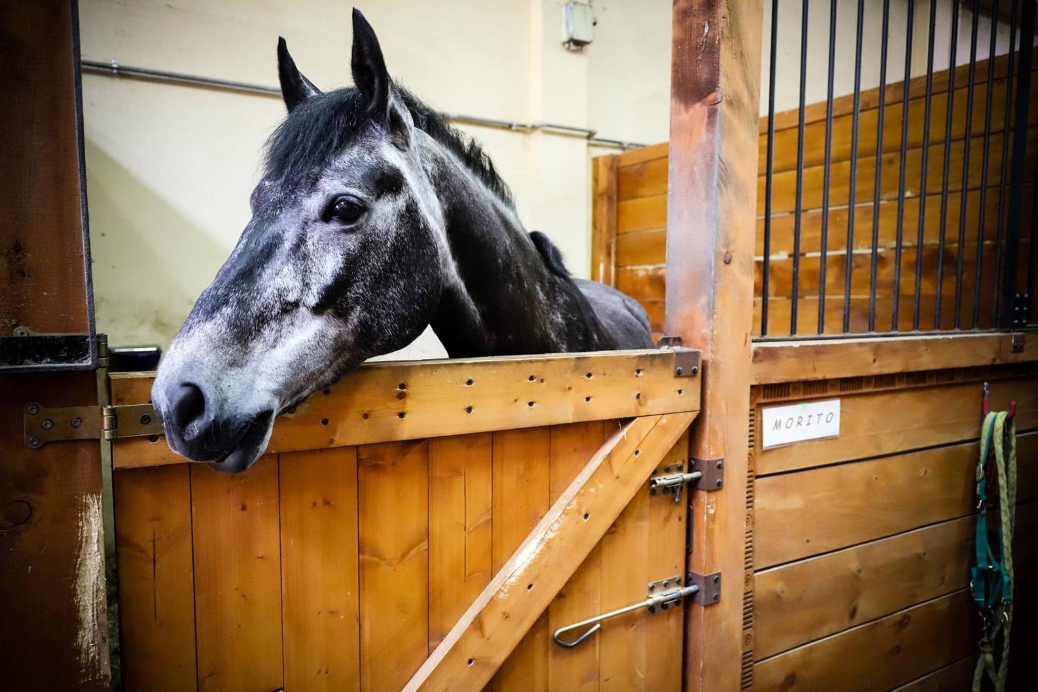 Somma Lombardo Vacations - La Viscontina - Property Image 47