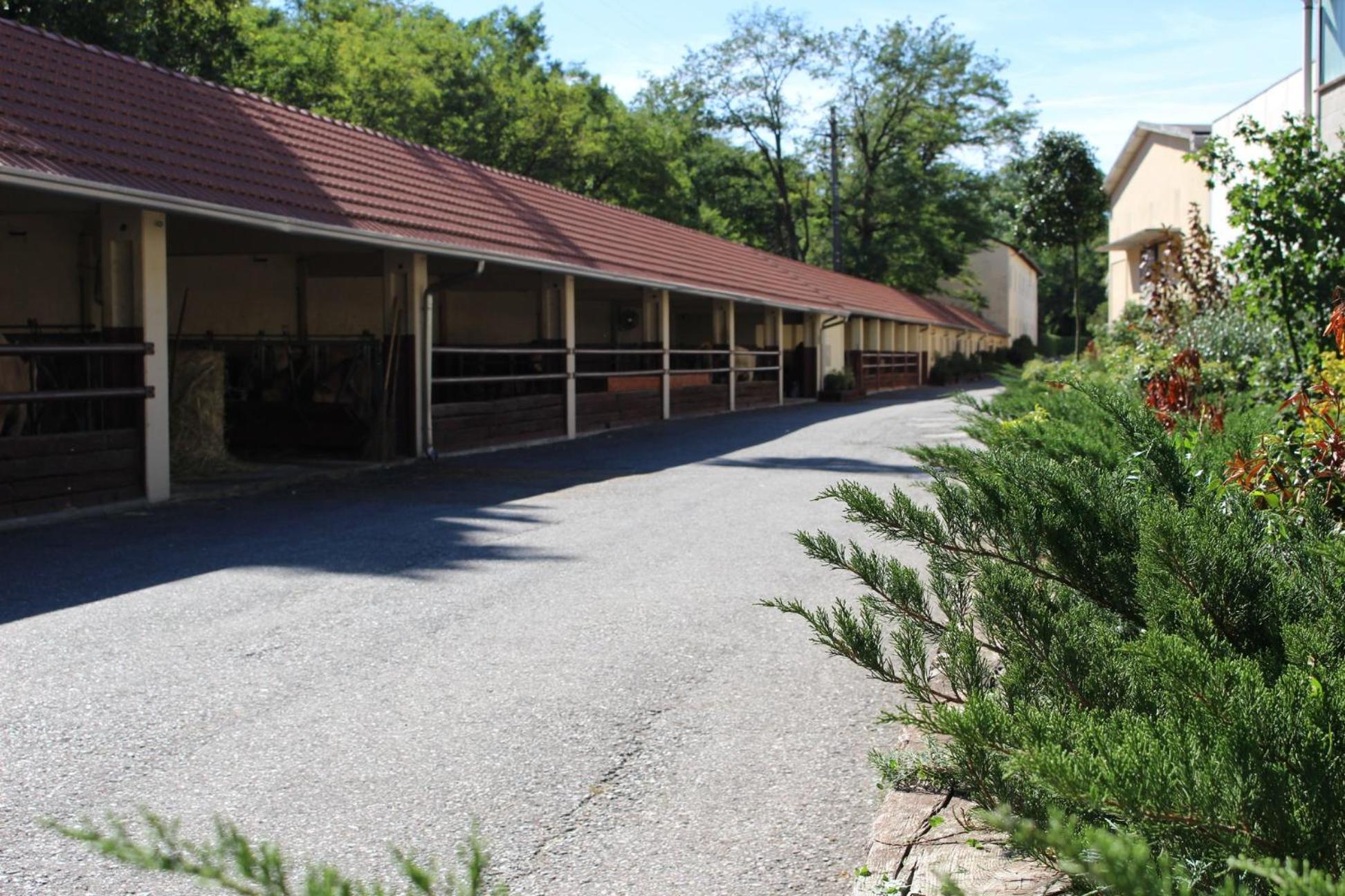 Somma Lombardo Vacations - La Viscontina - Property Image 46