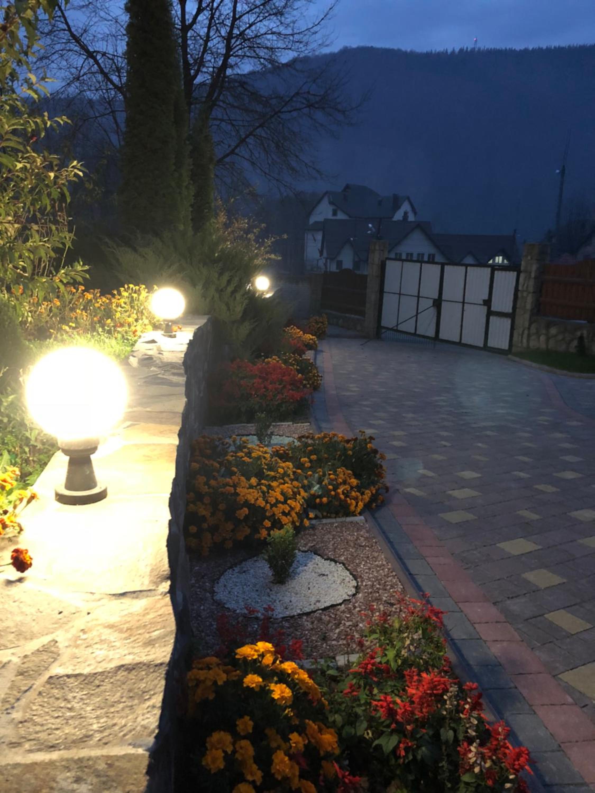 Photo 42