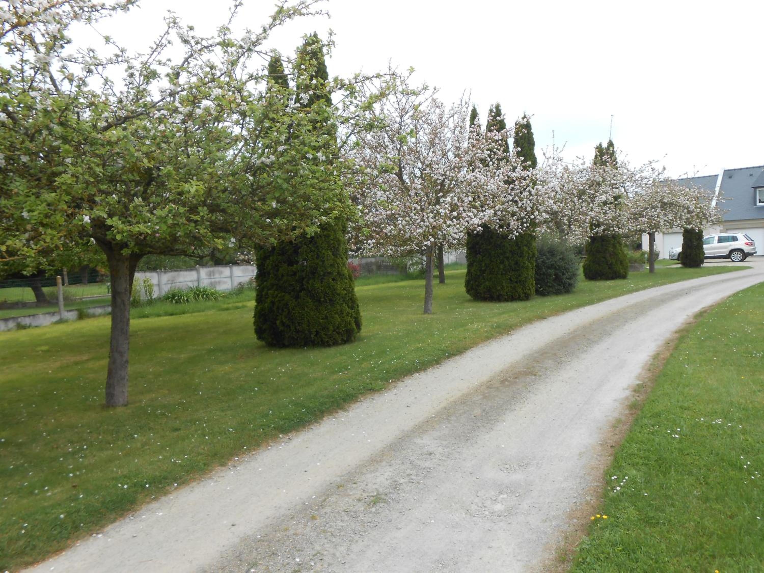 Photo 22