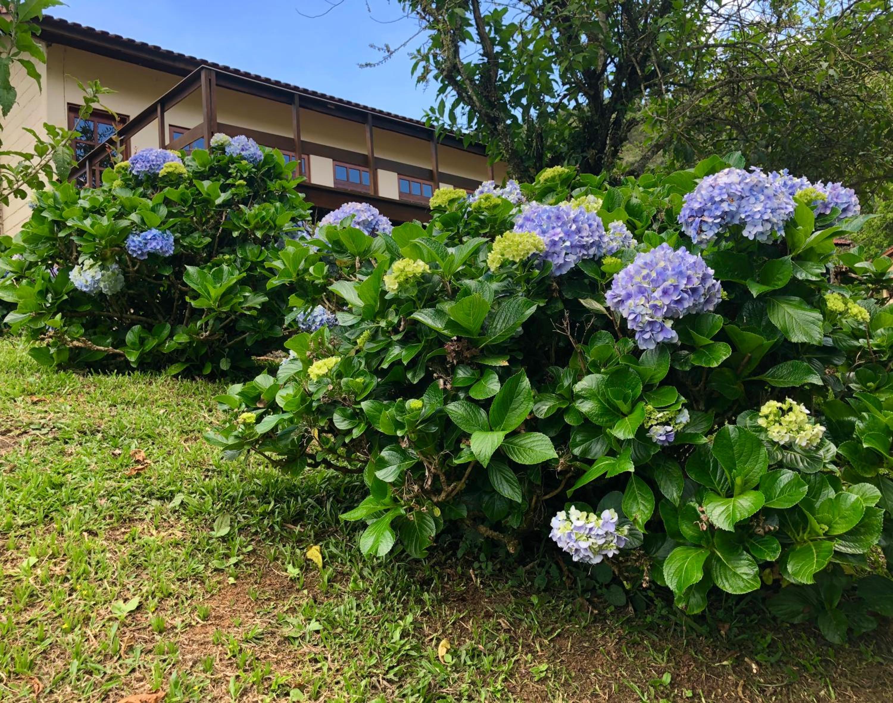 Pousada Kolibri