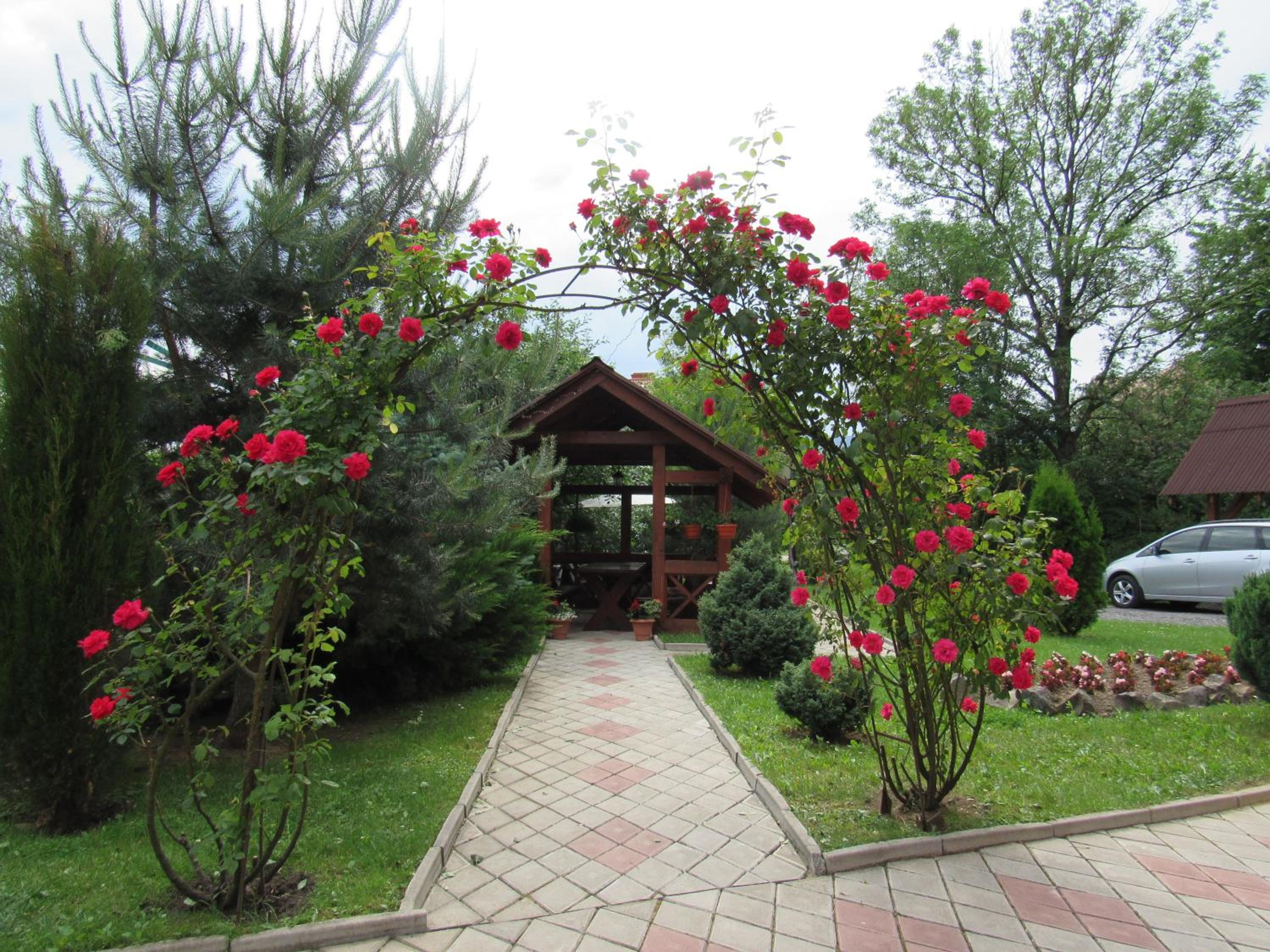 Photo 41