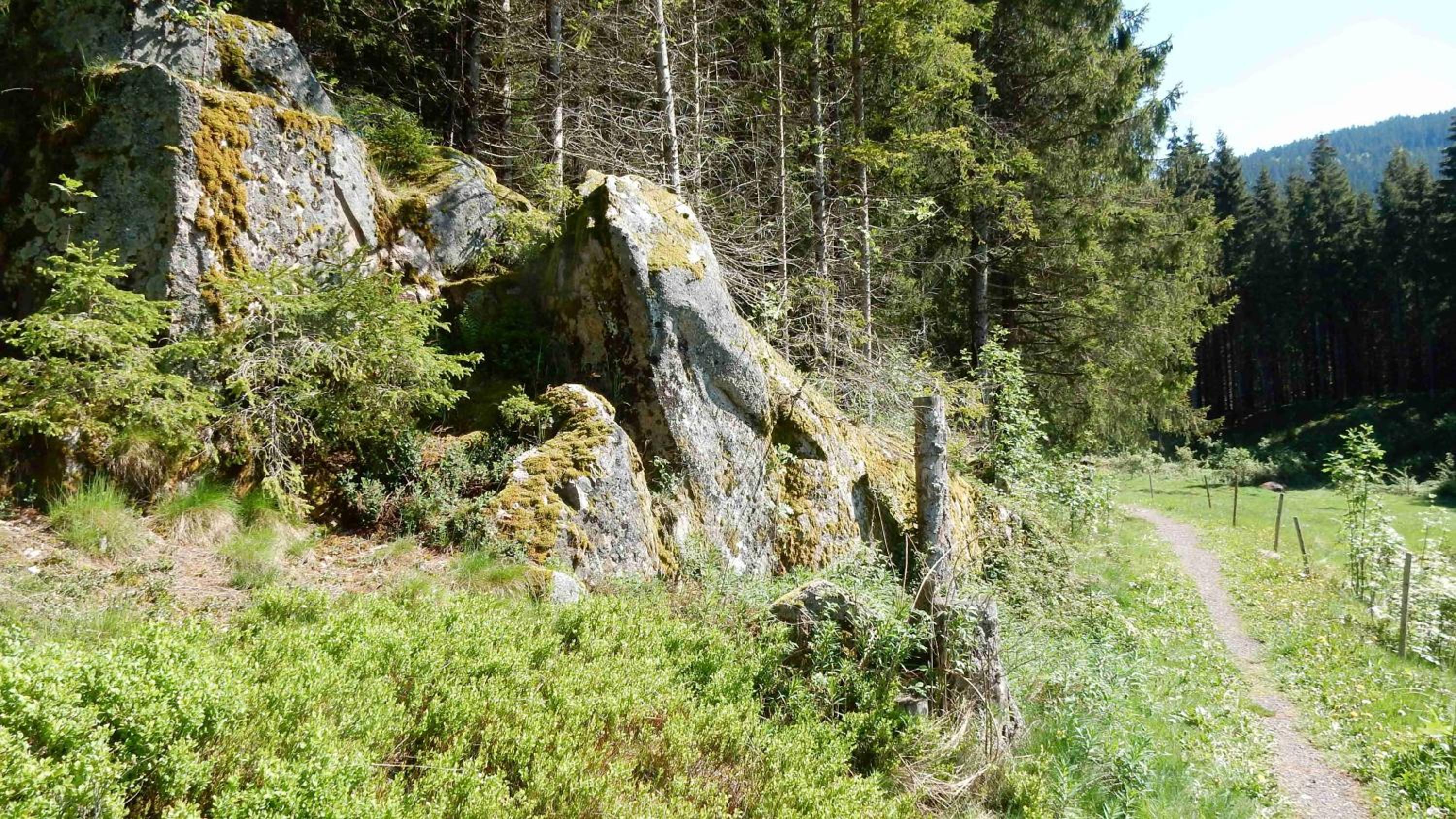 Photo 35