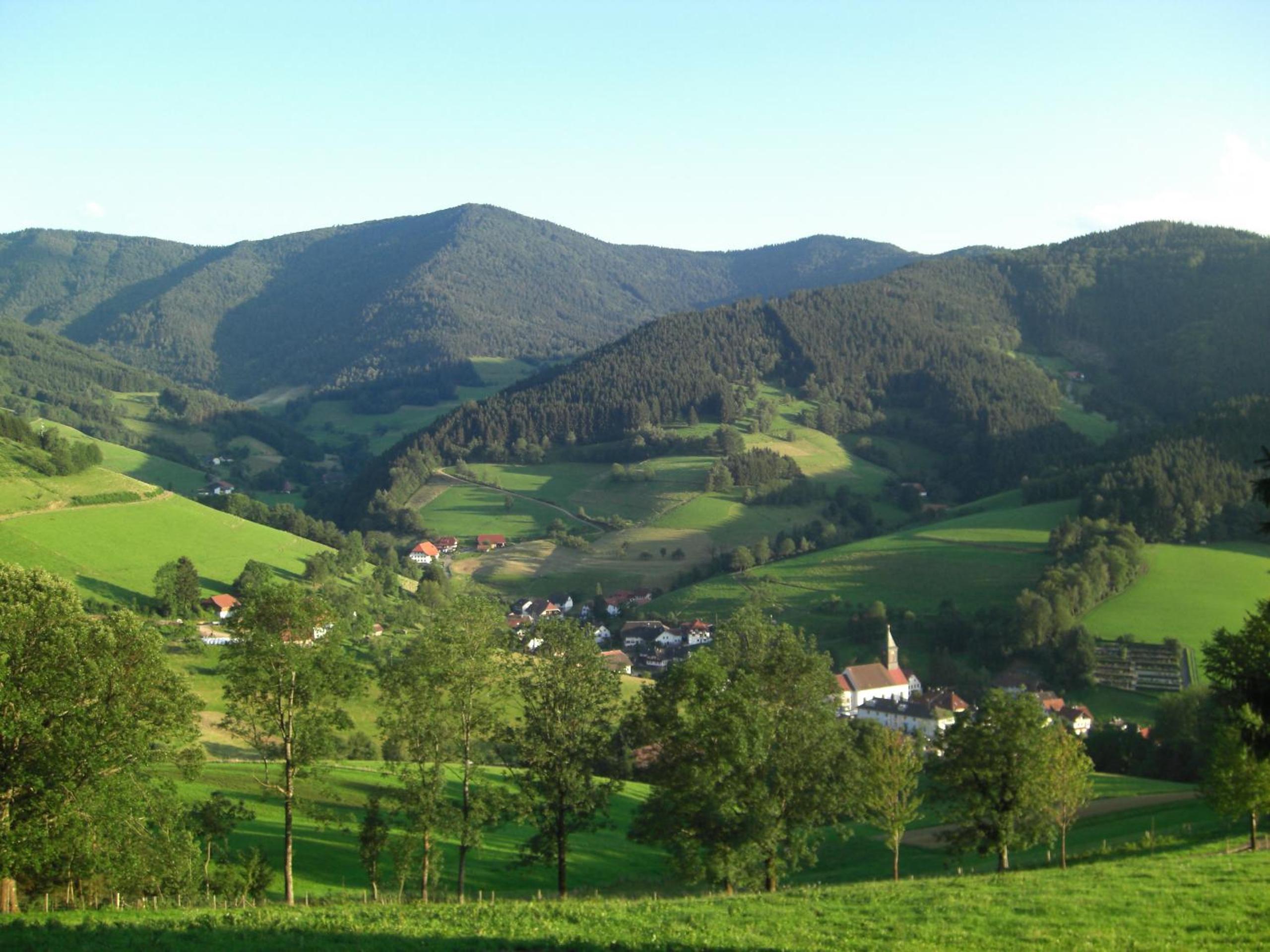 Photo 10
