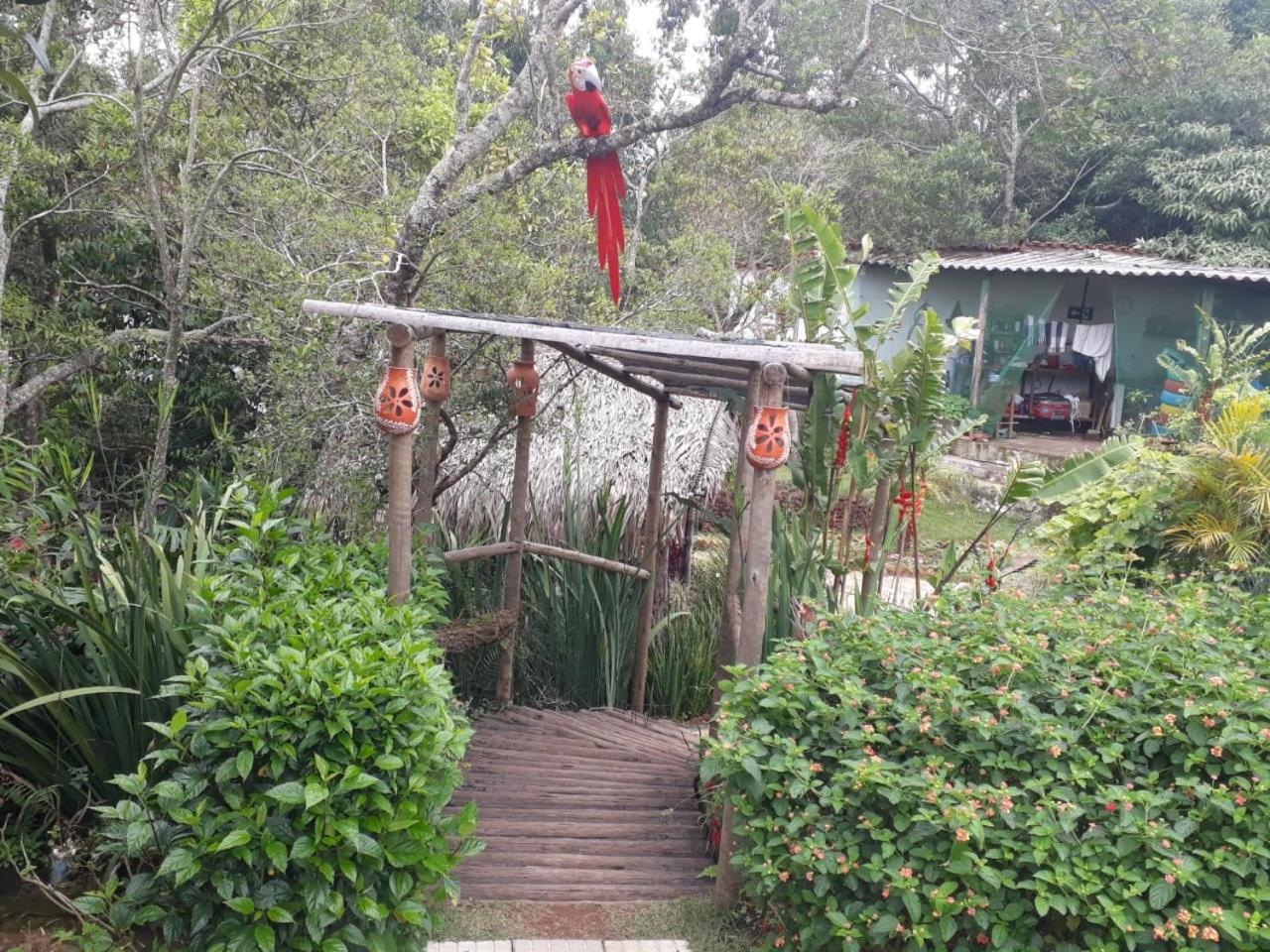 Photo 18