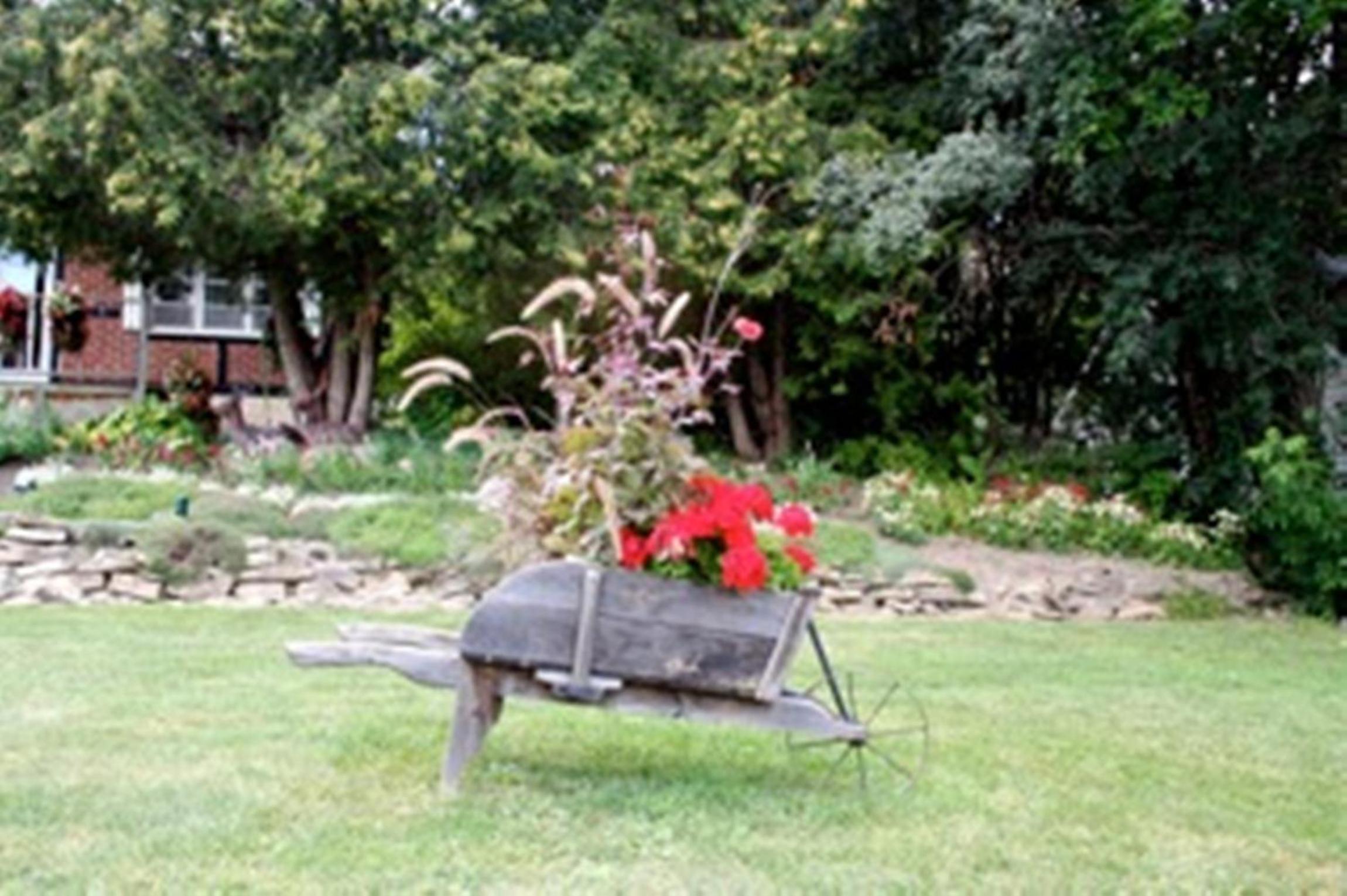 Burley's Executive Garden Suite