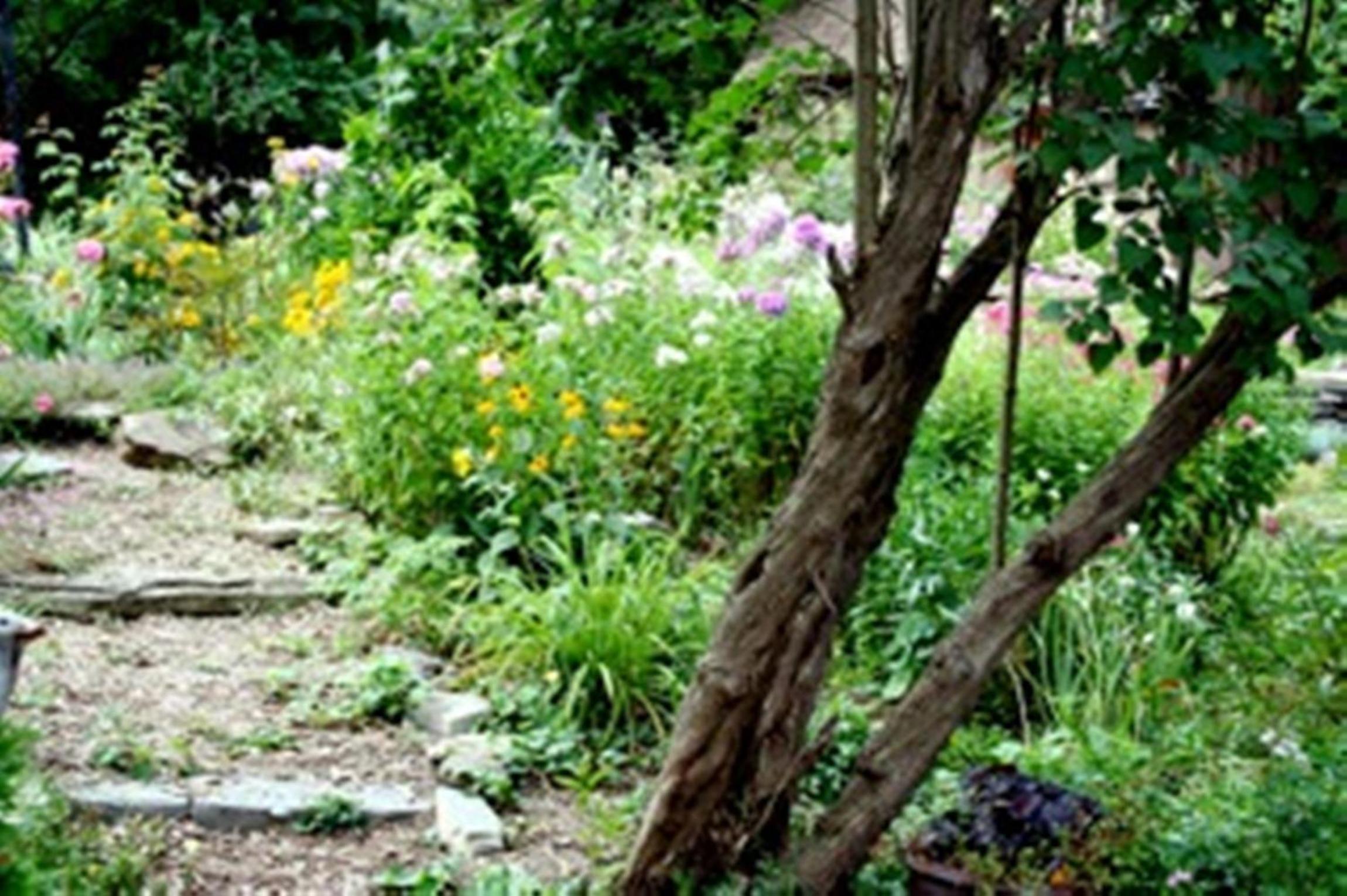 Burley's Executive Garden Suite