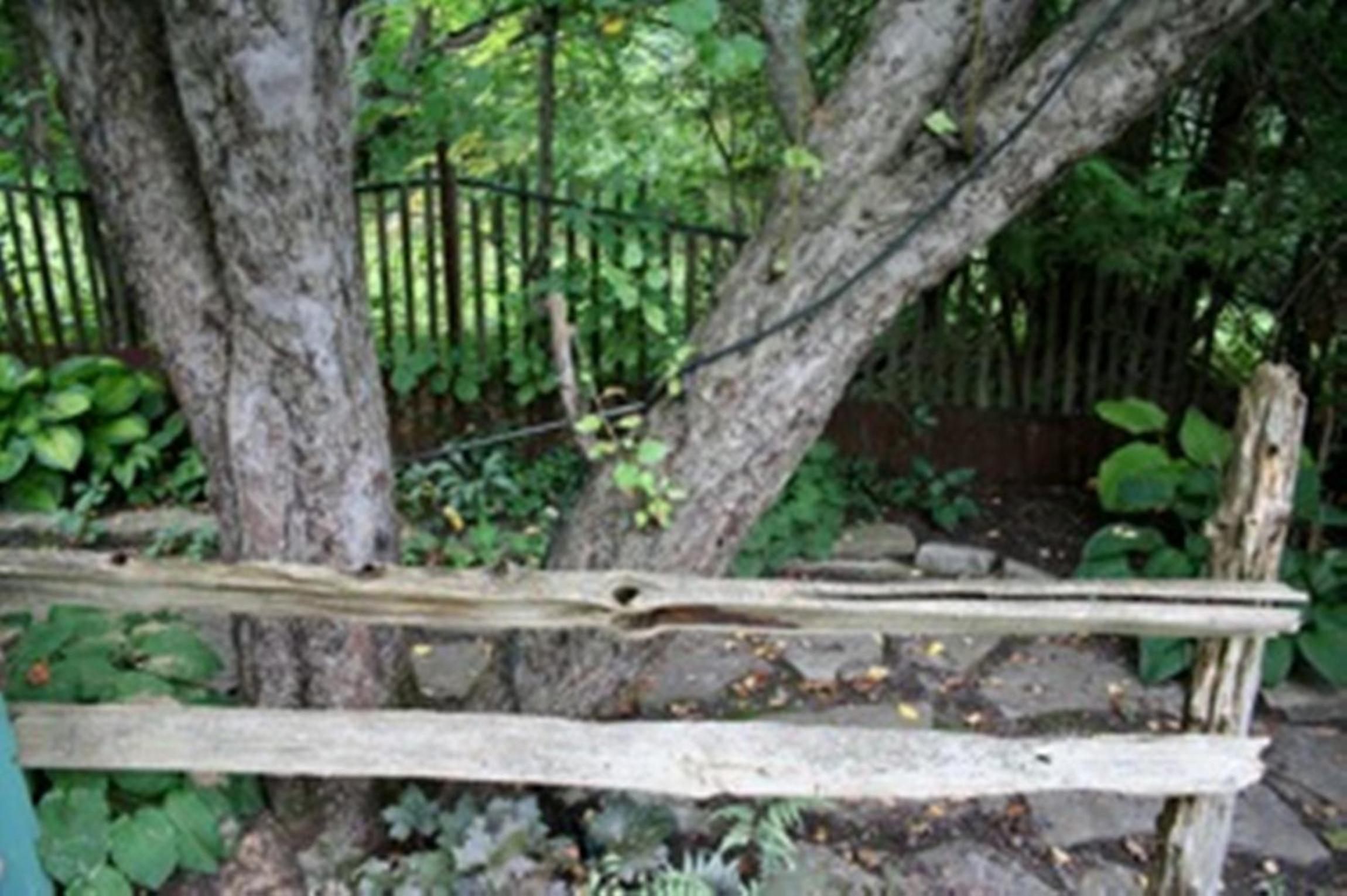 Burley's Executive Garden Suite