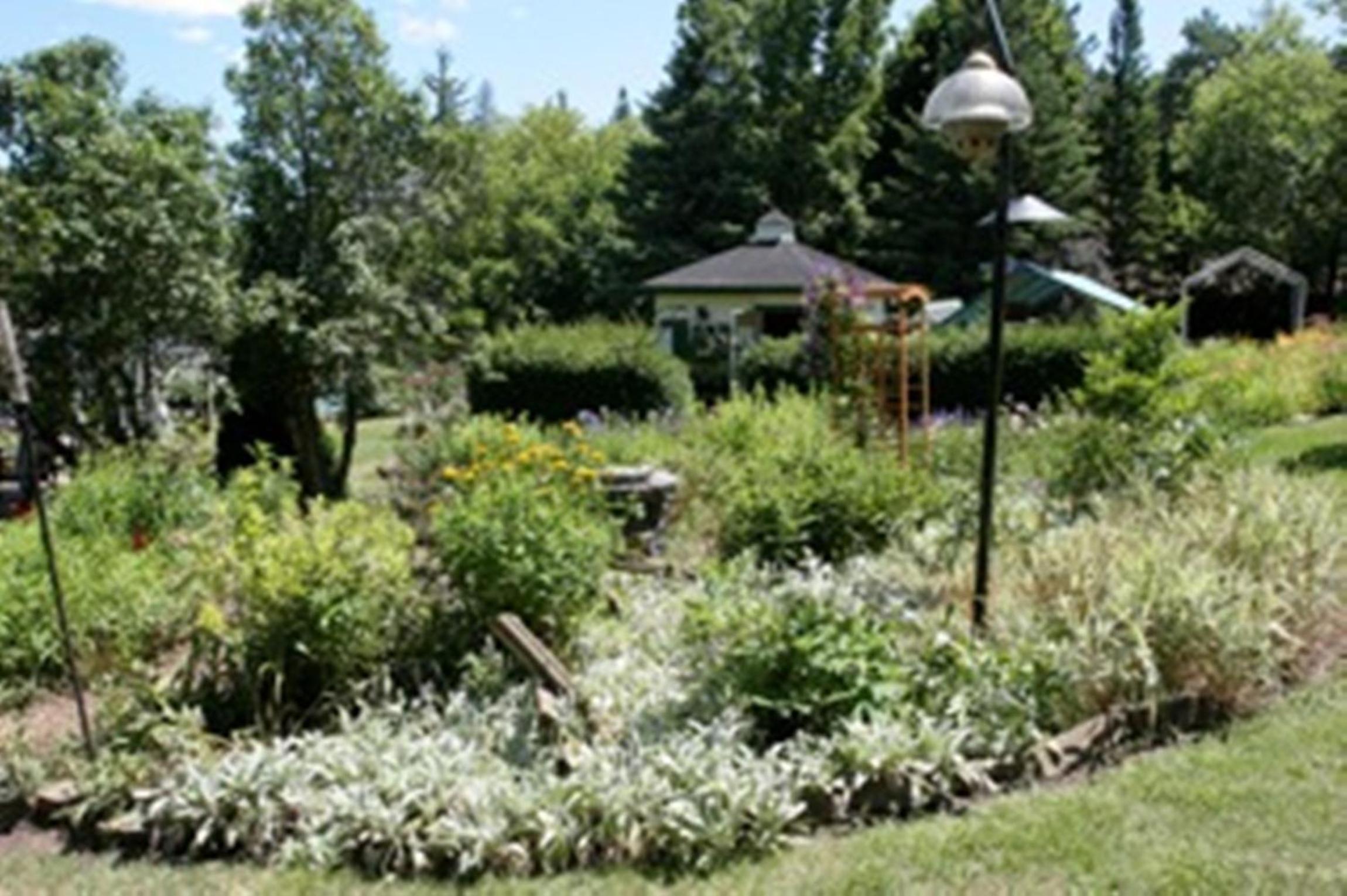Burley's Executive Garden Suite