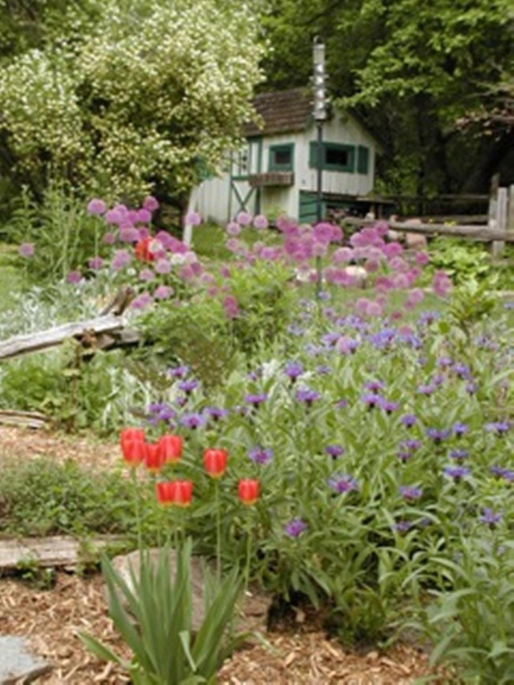 Burley's Executive Garden Suite