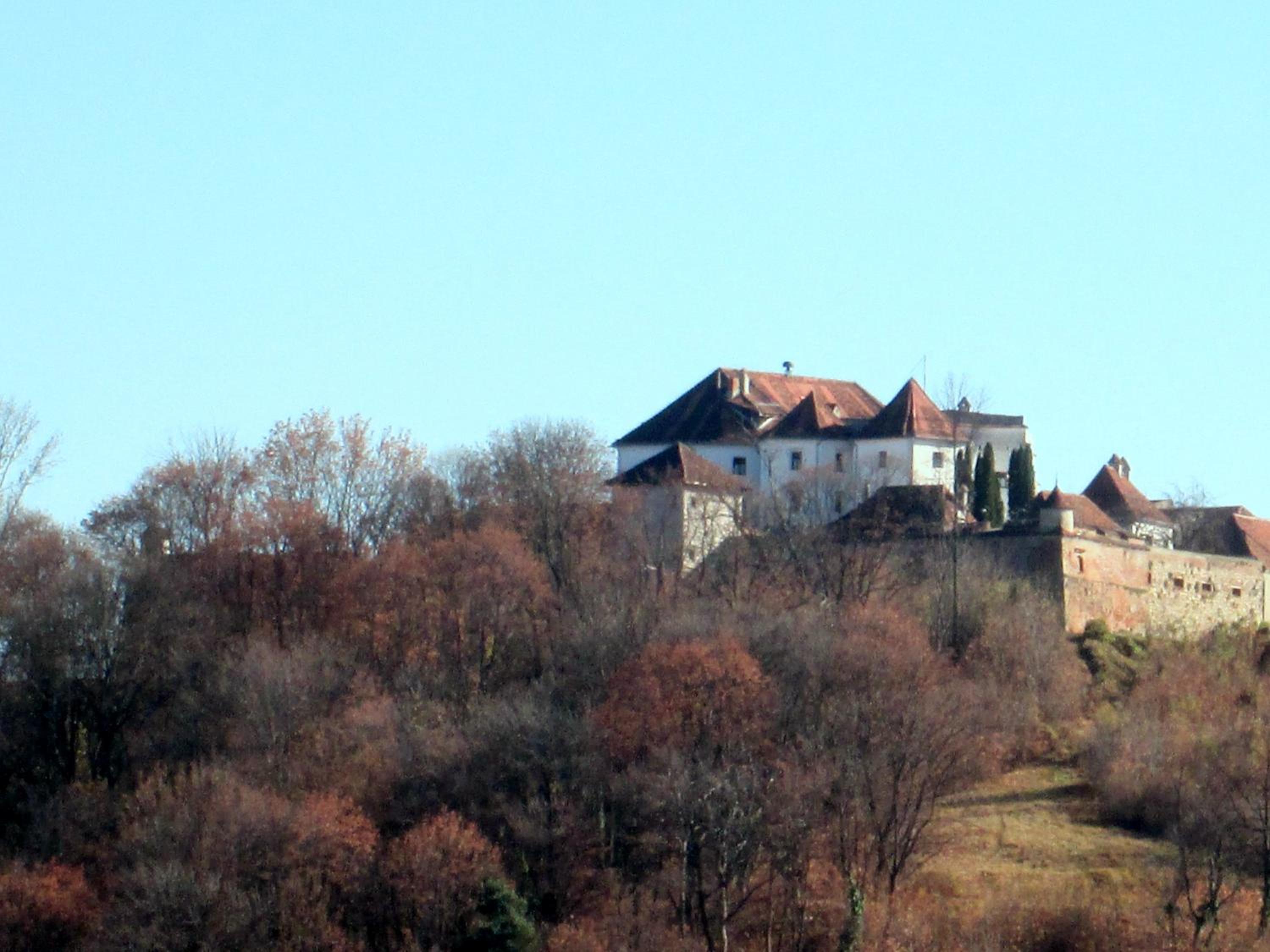 Photo 48