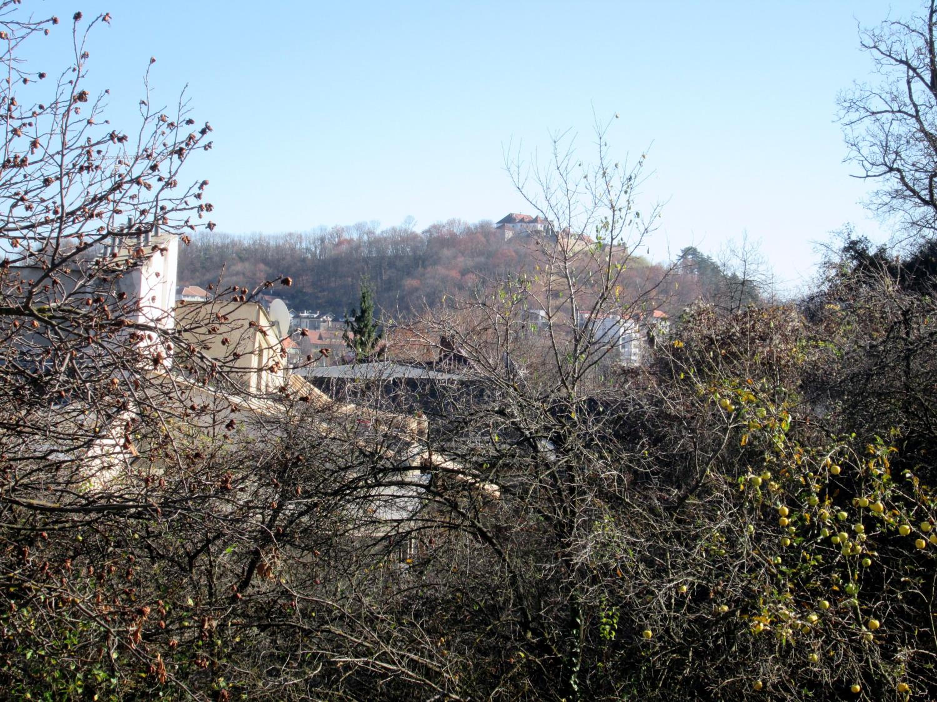 Photo 52