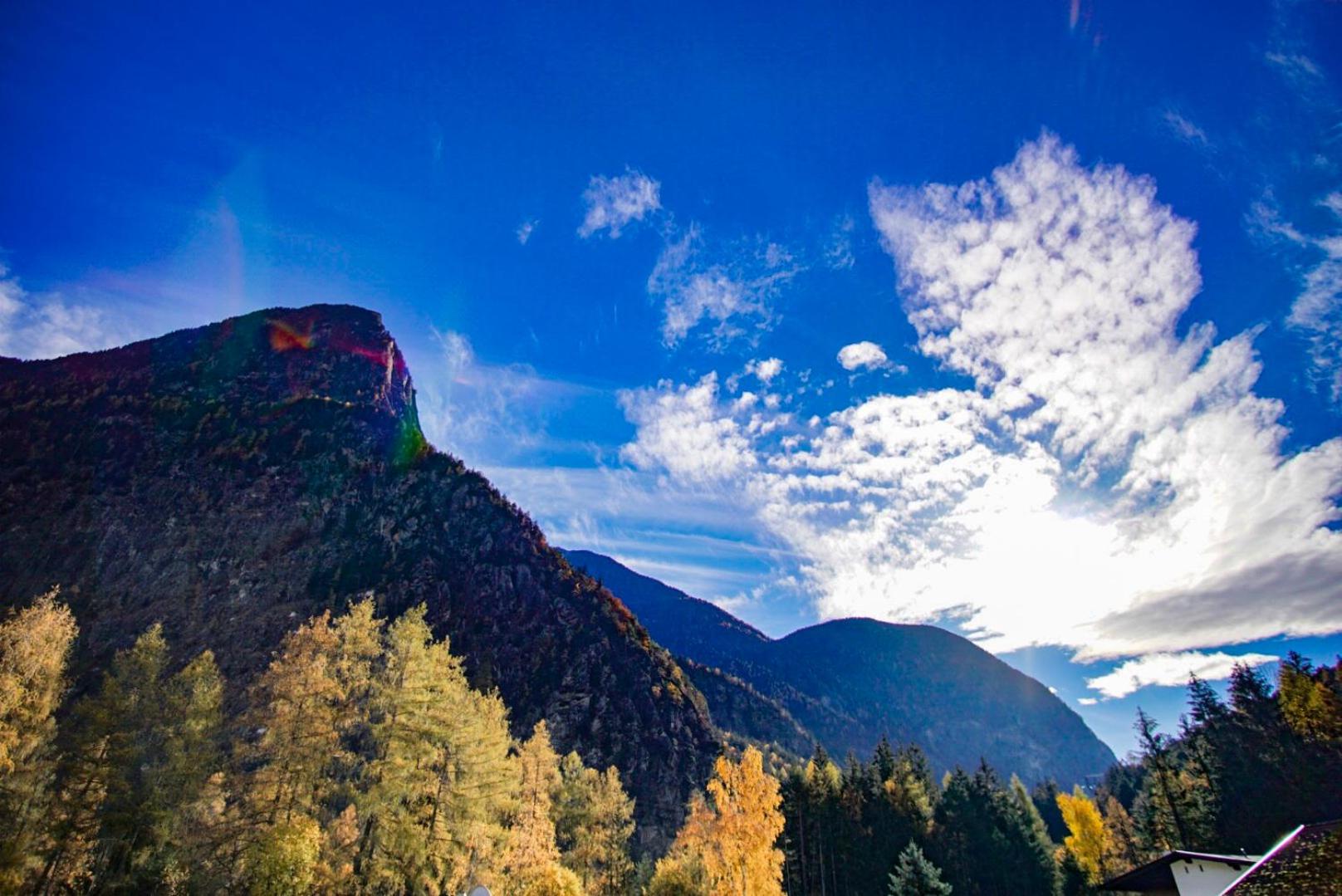 Apart Waldblick view 5