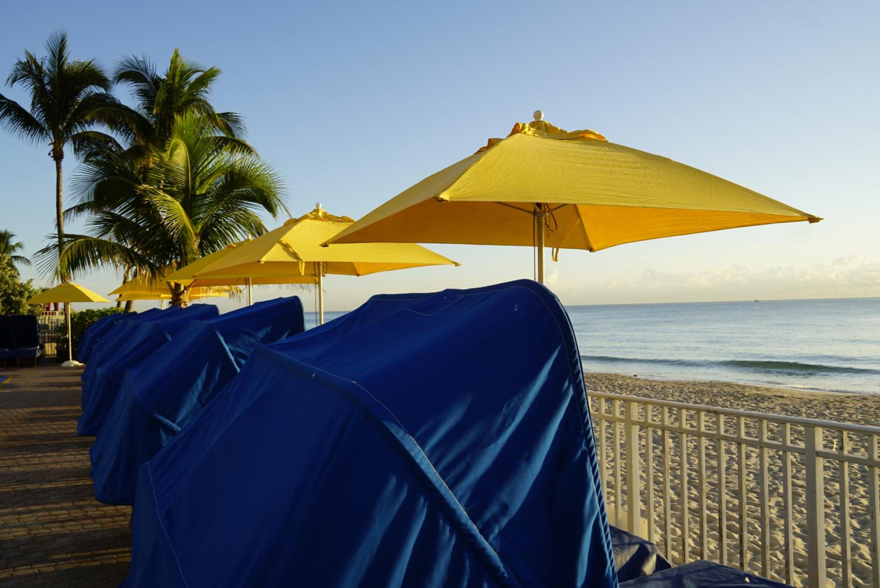 Fort Lauderdale Vacations - Ocean Sky Hotel  Resort - Property Image 3