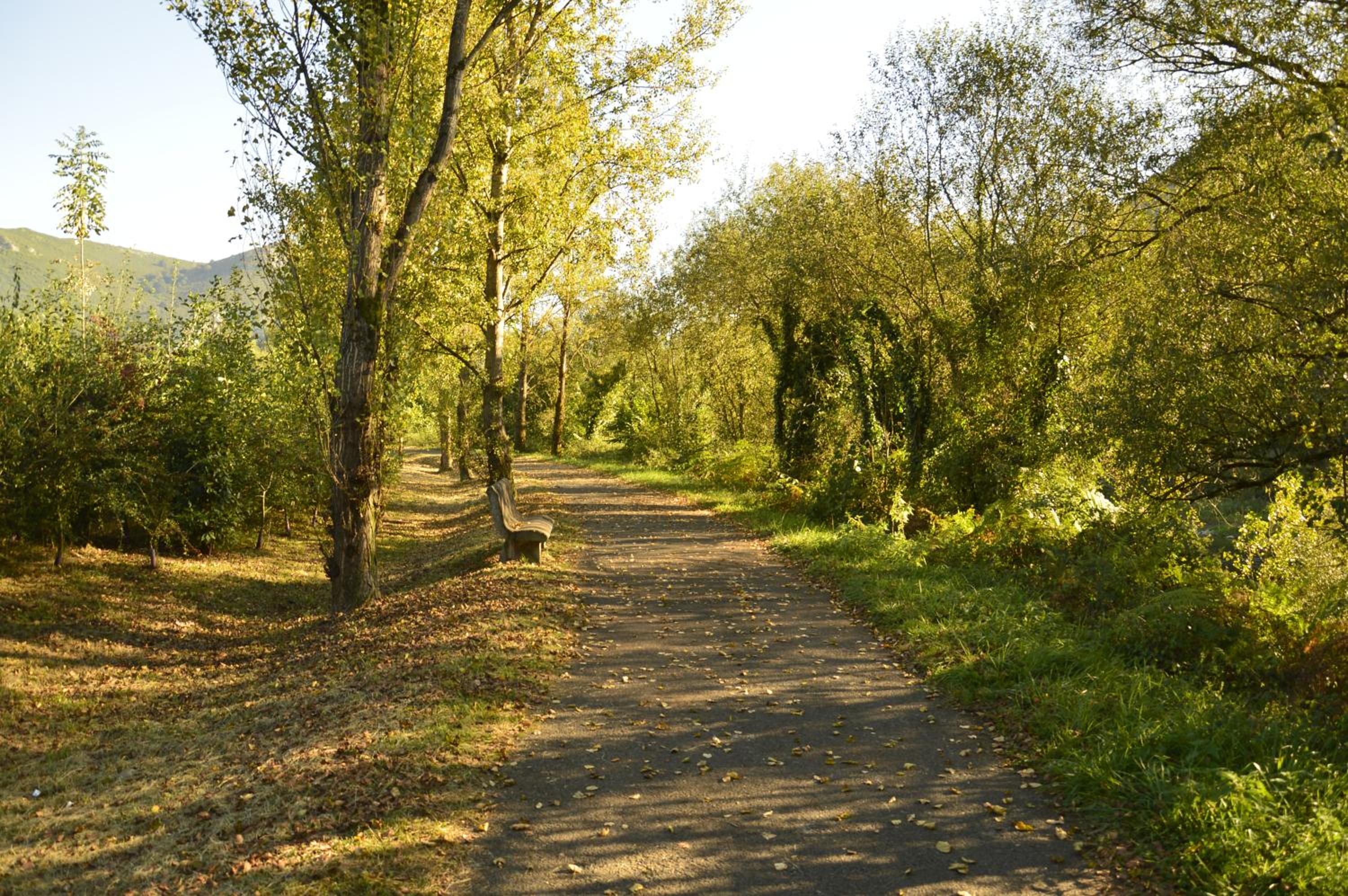 Photo 24