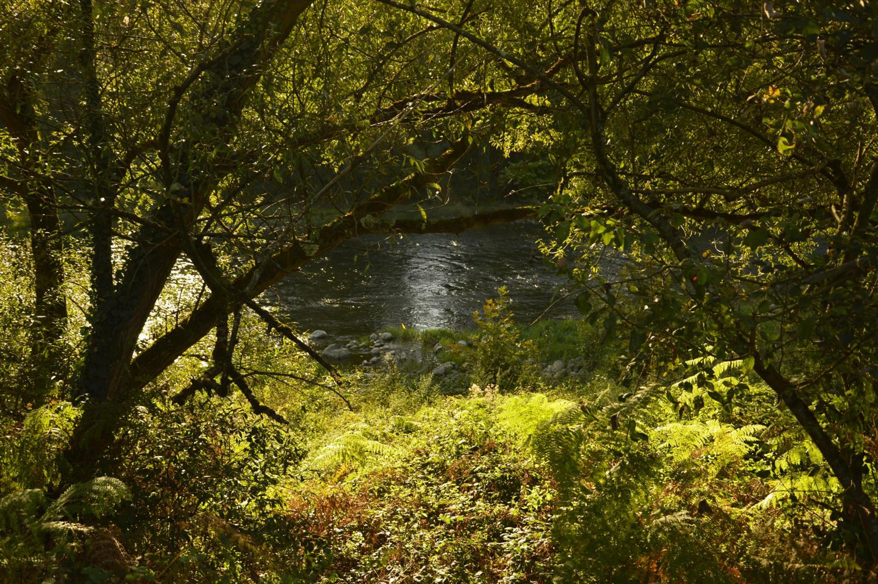 Photo 25