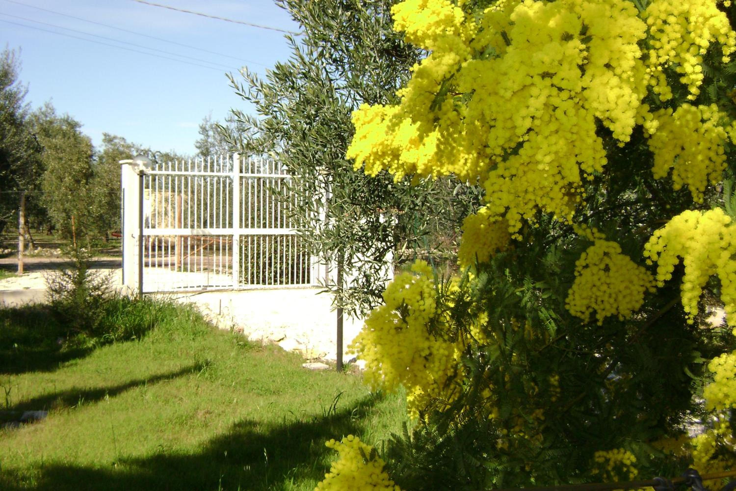 B&B Villa Mediterranea with private parking