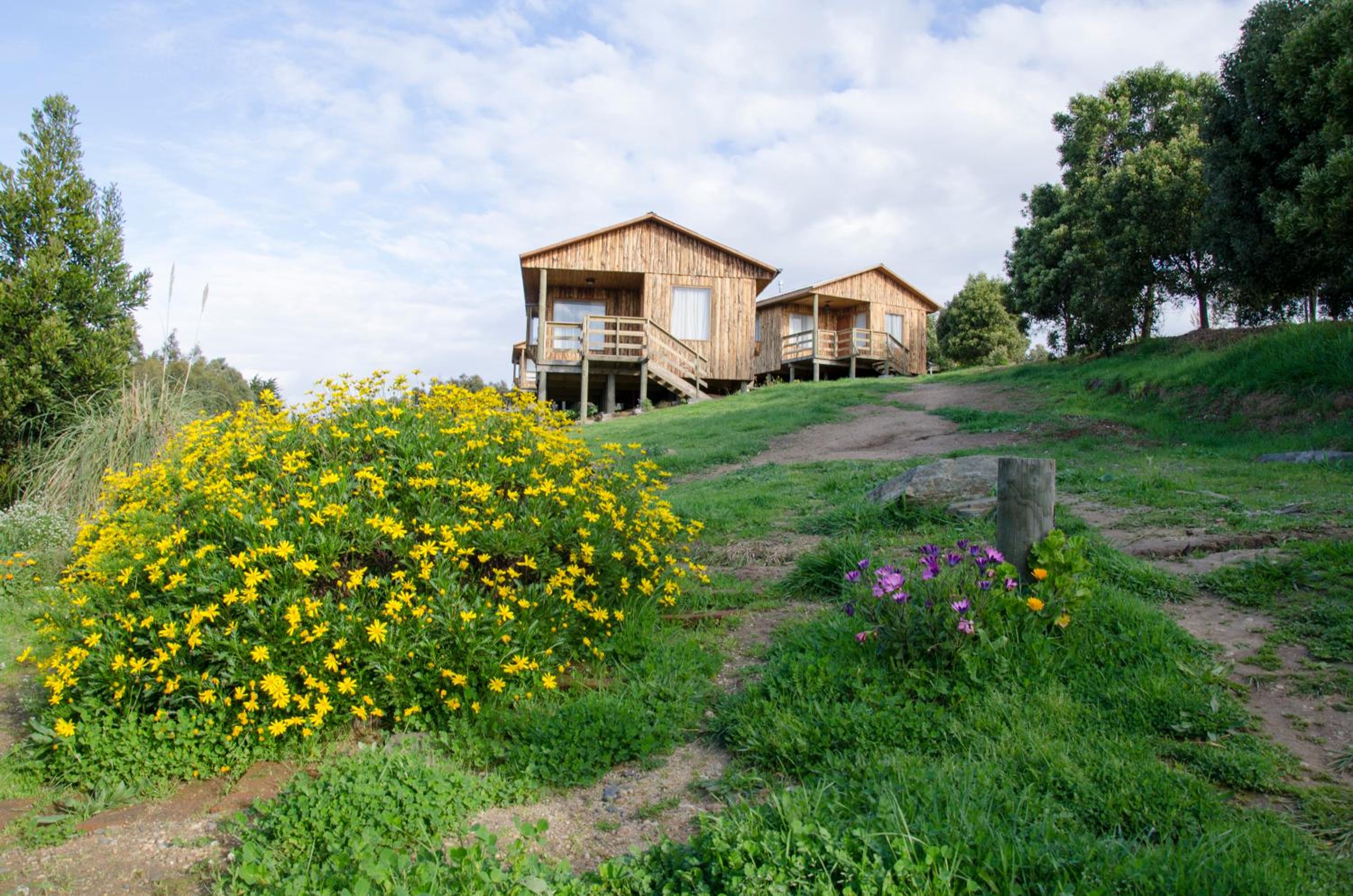Lomita Quebrada
