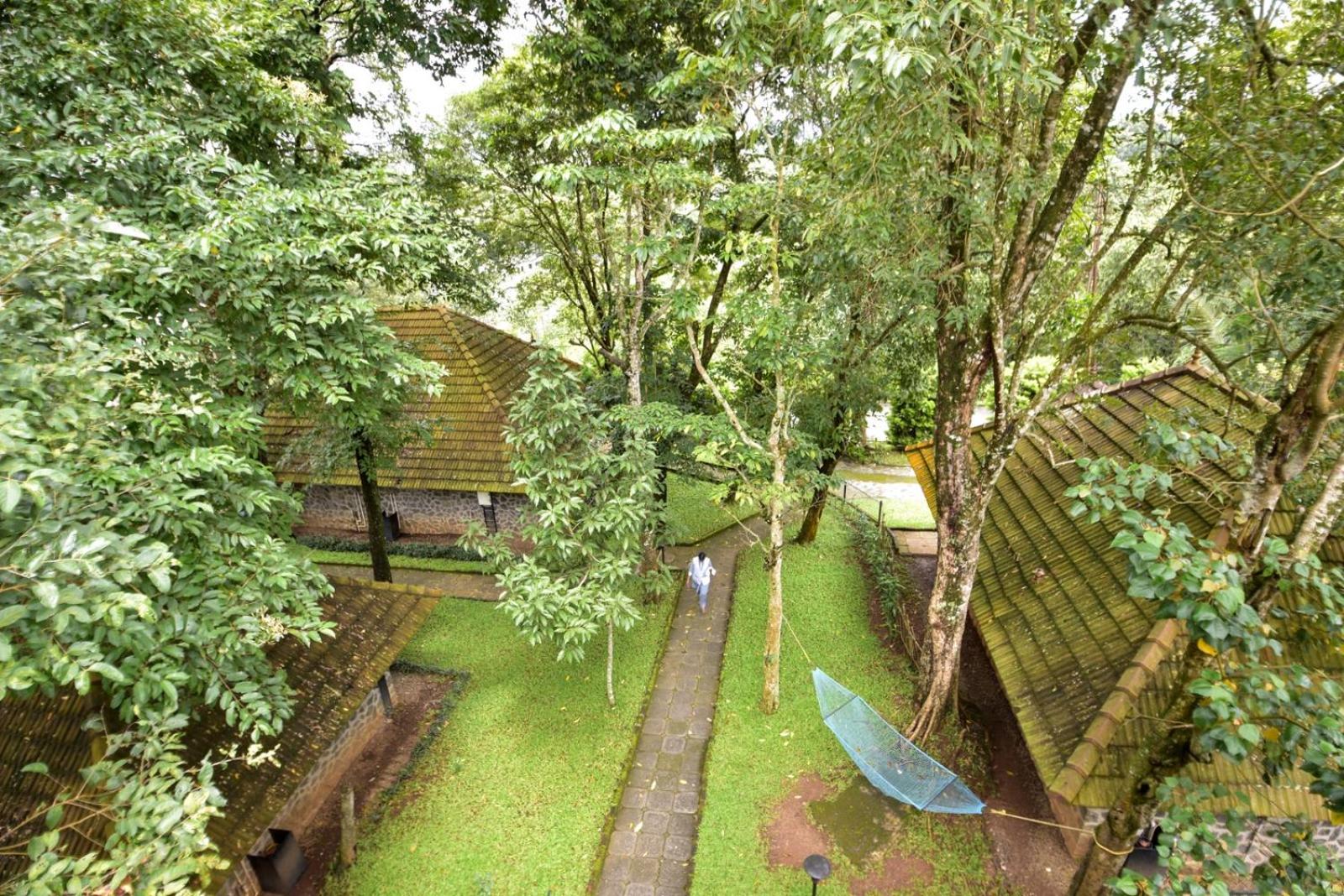 Hotel Treetop view 5