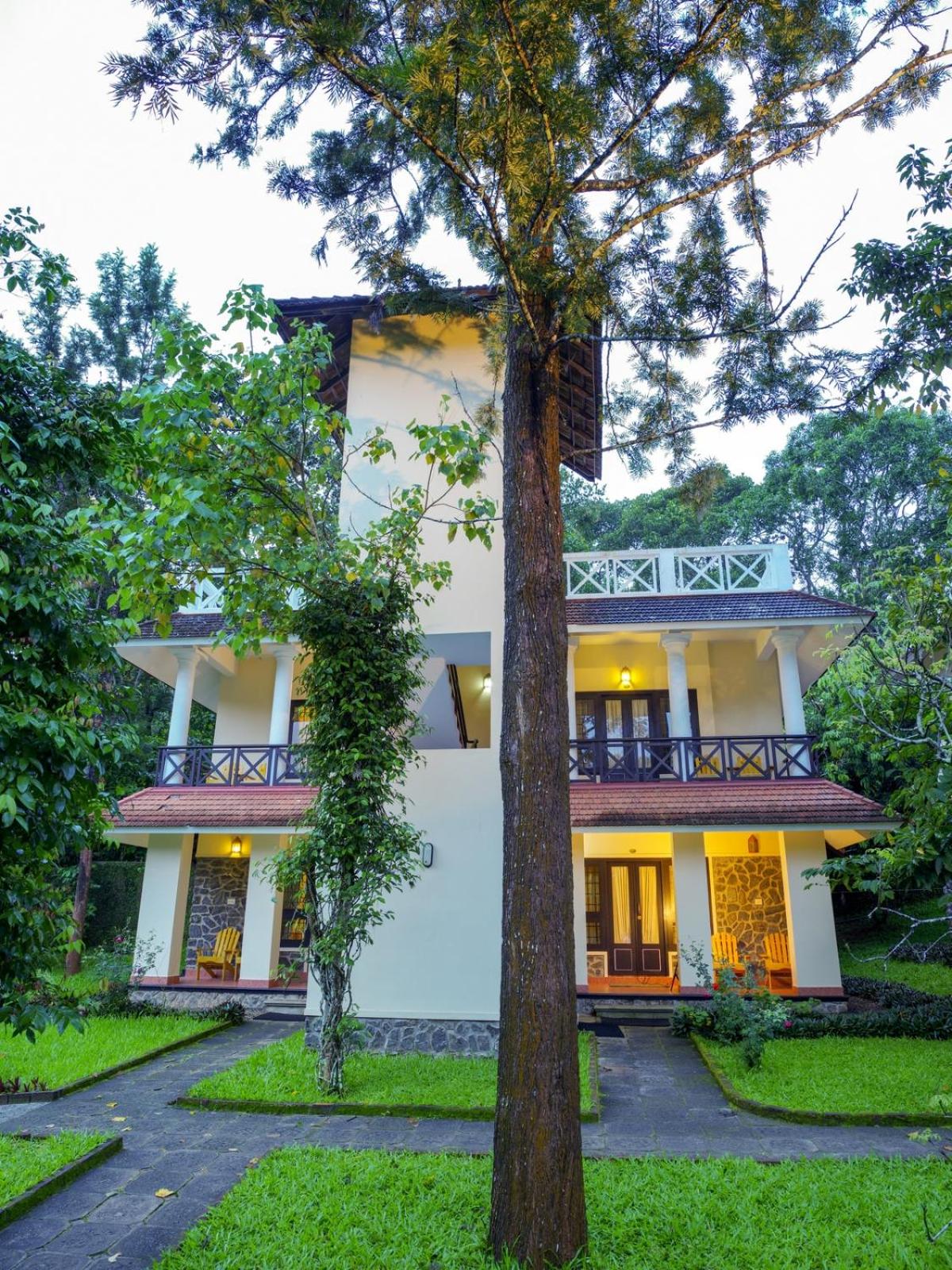 Hotel Treetop view 3