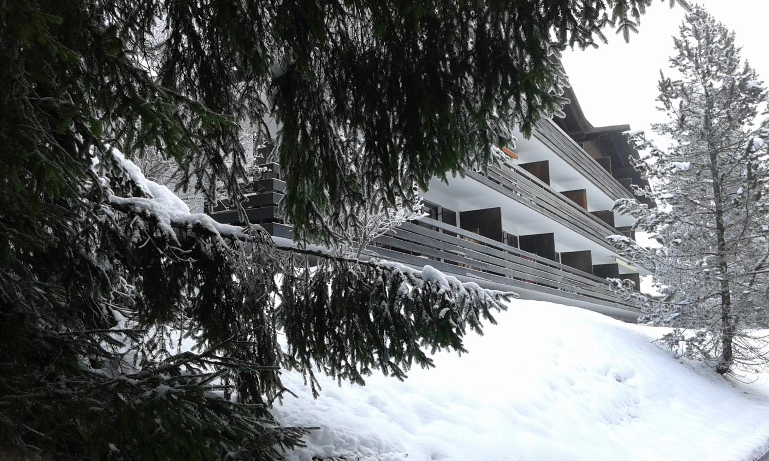 Apartmenthaus Panorama