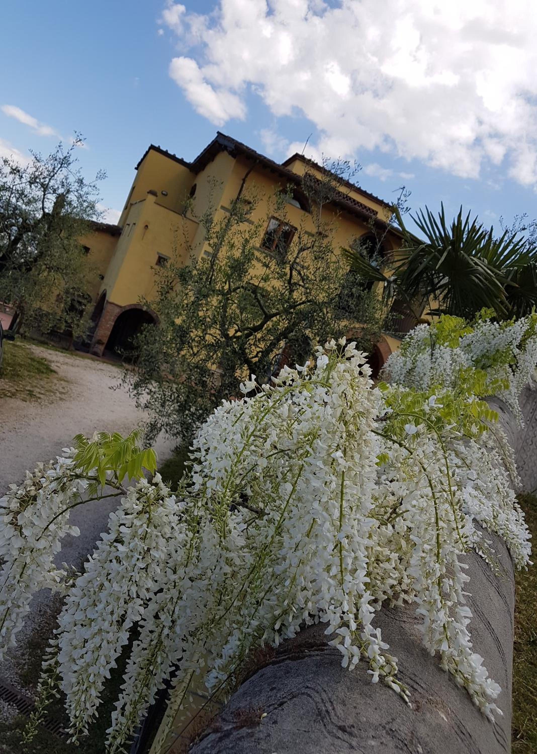 Agriturismo Il Poderaccio