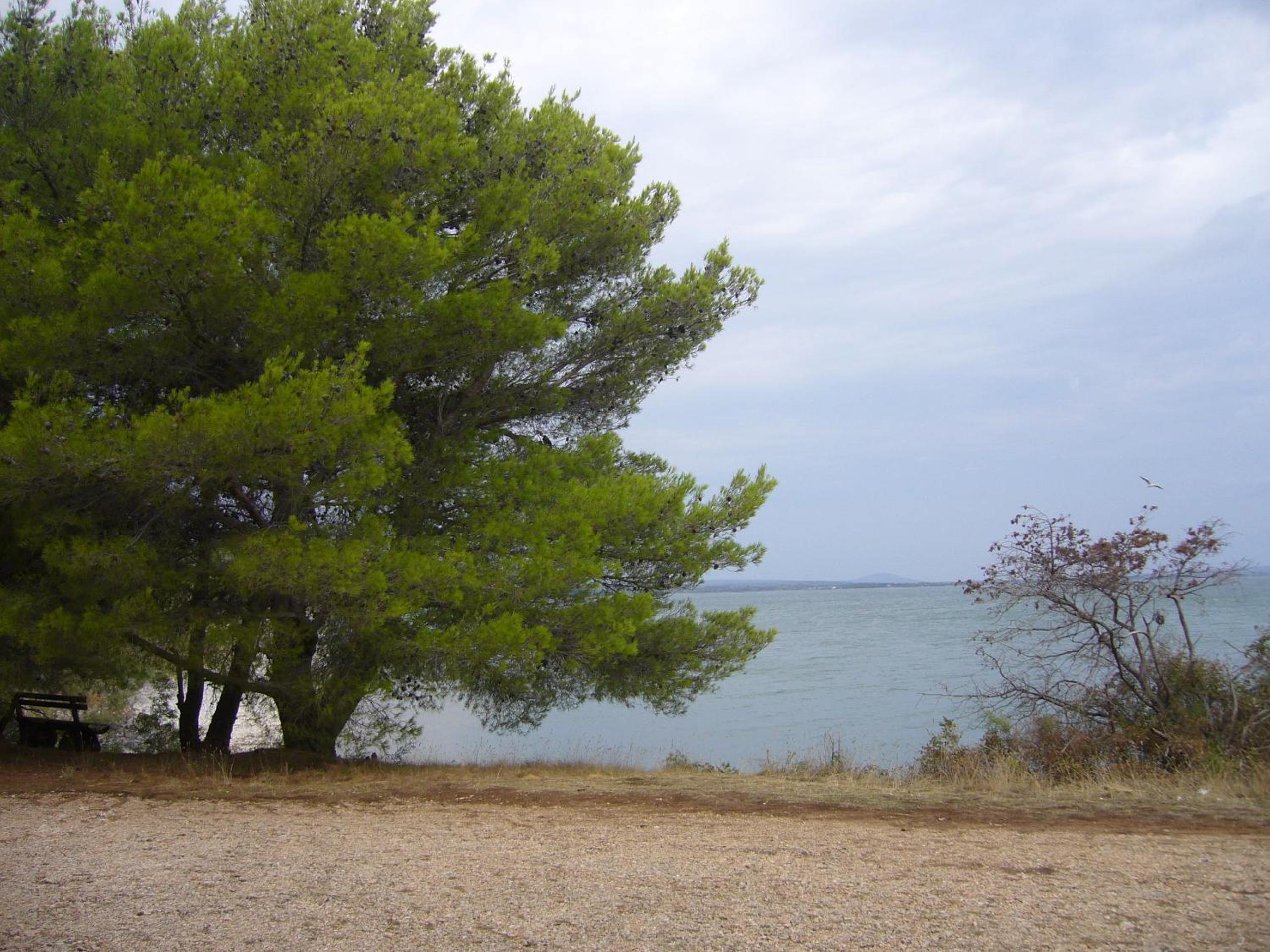 Photo 30