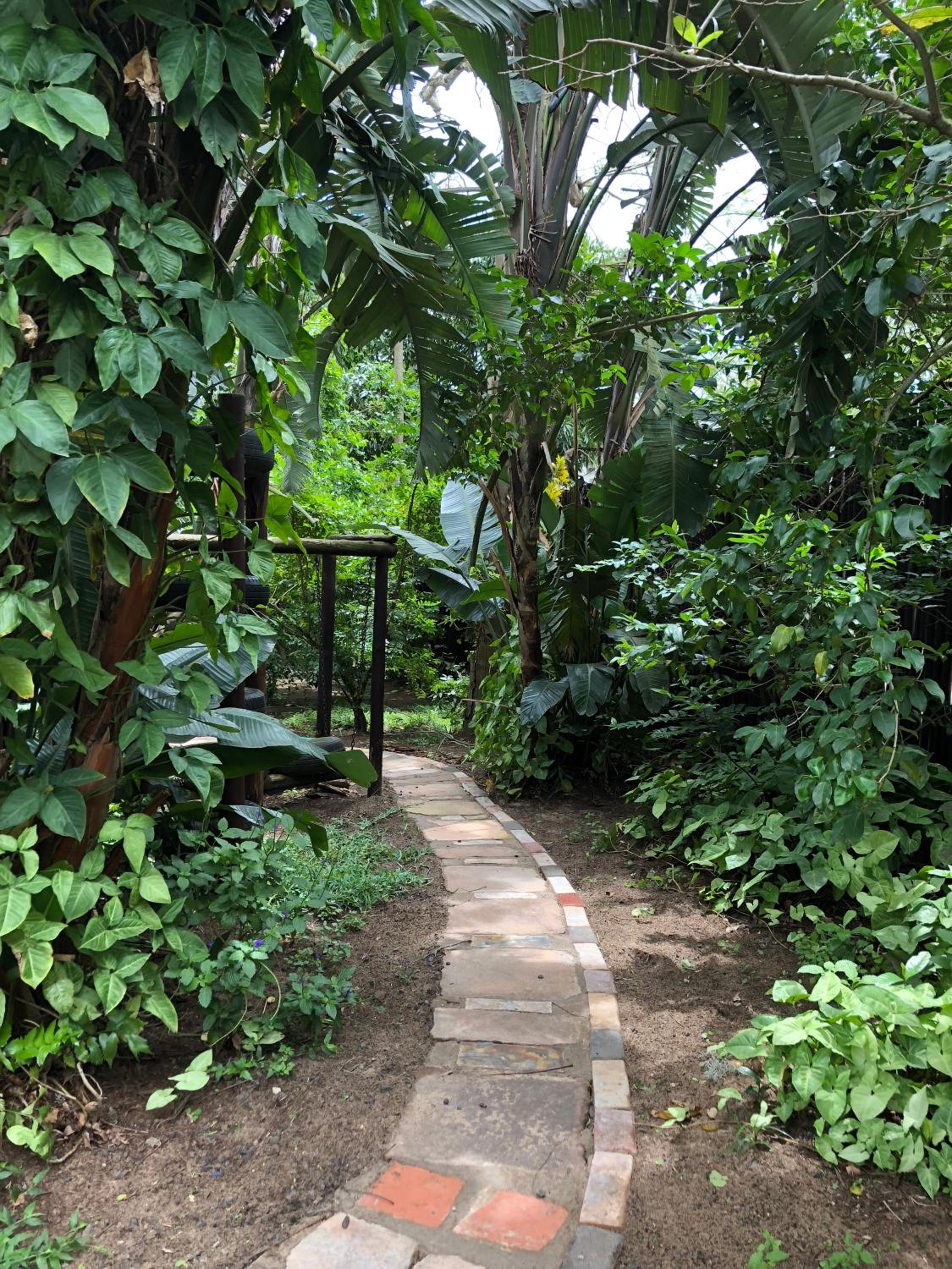 Photo 26