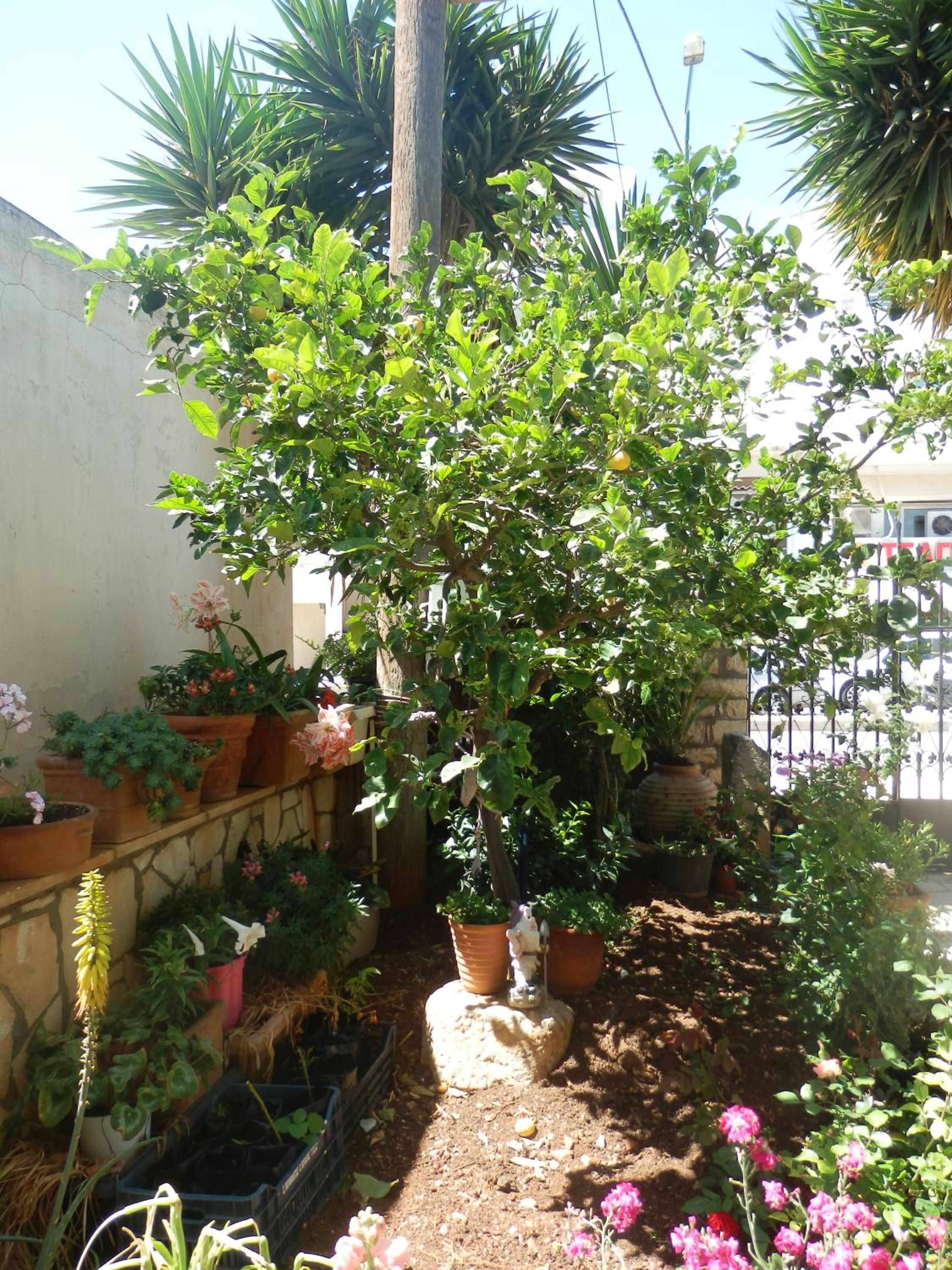 Photo 33