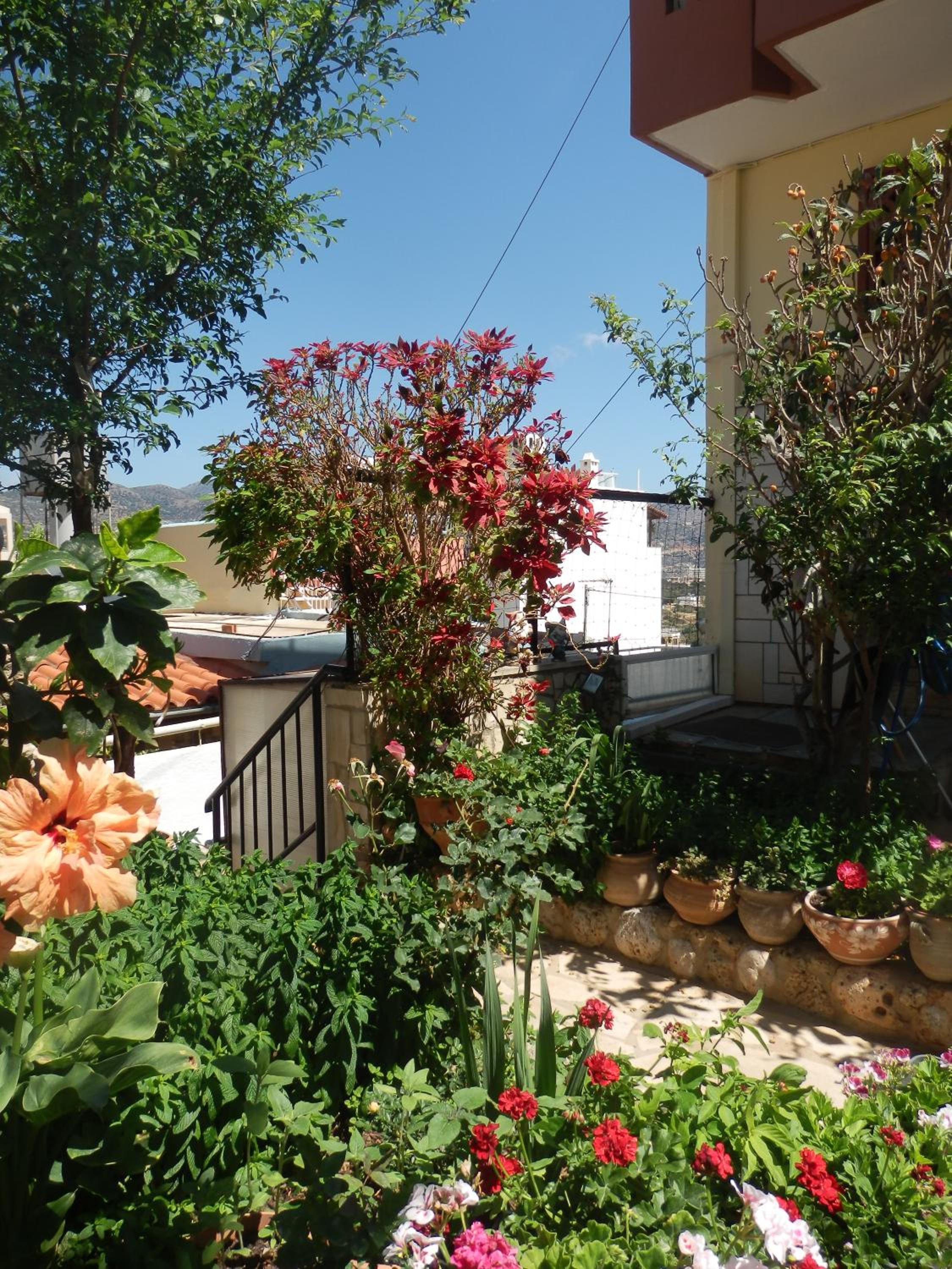 Eleni Studios view 4
