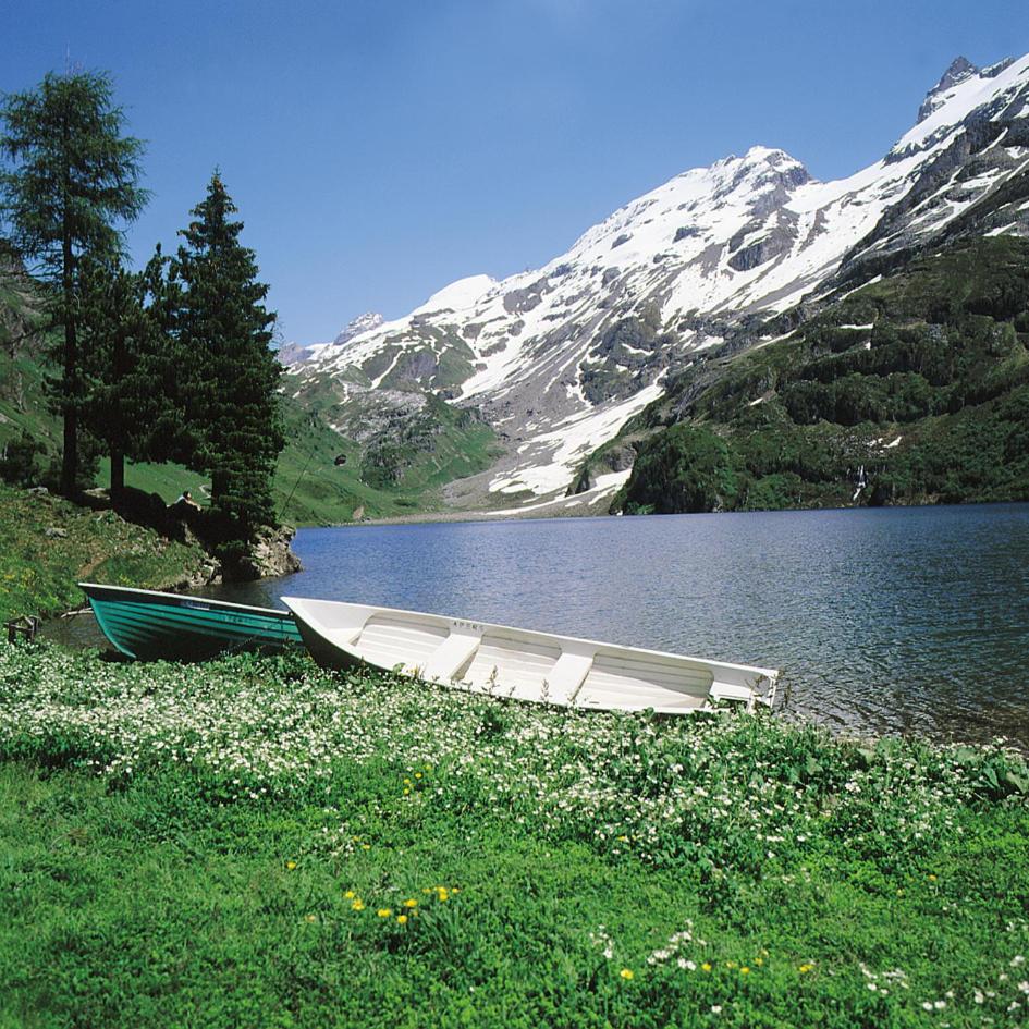 Pension Staldacher