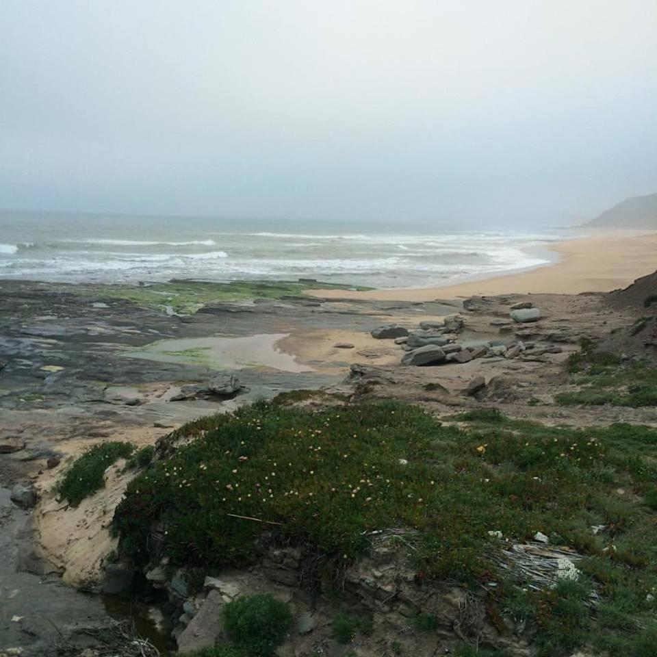 Photo 31