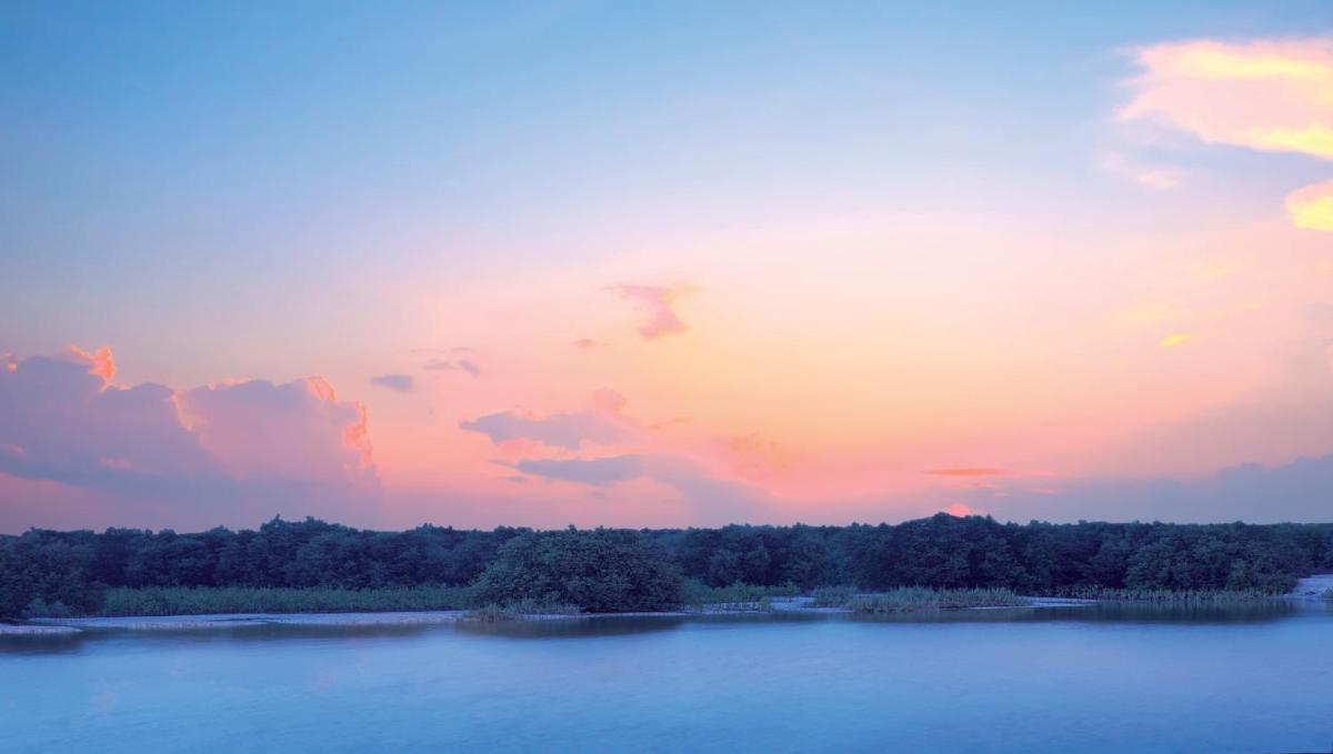 Anantara Eastern Mangroves Abu Dhabi — photo 3