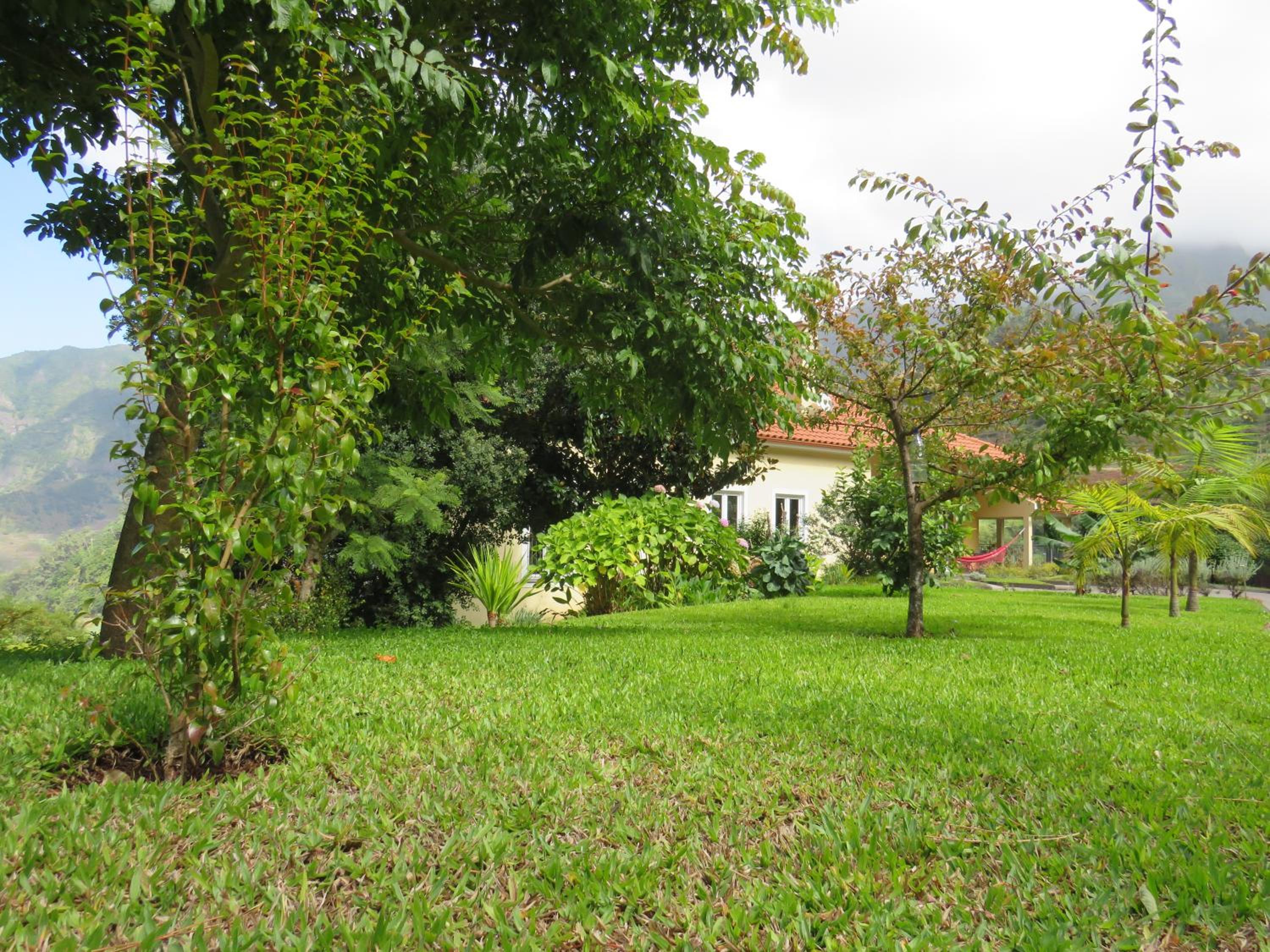 Solar do Carvalho view 4