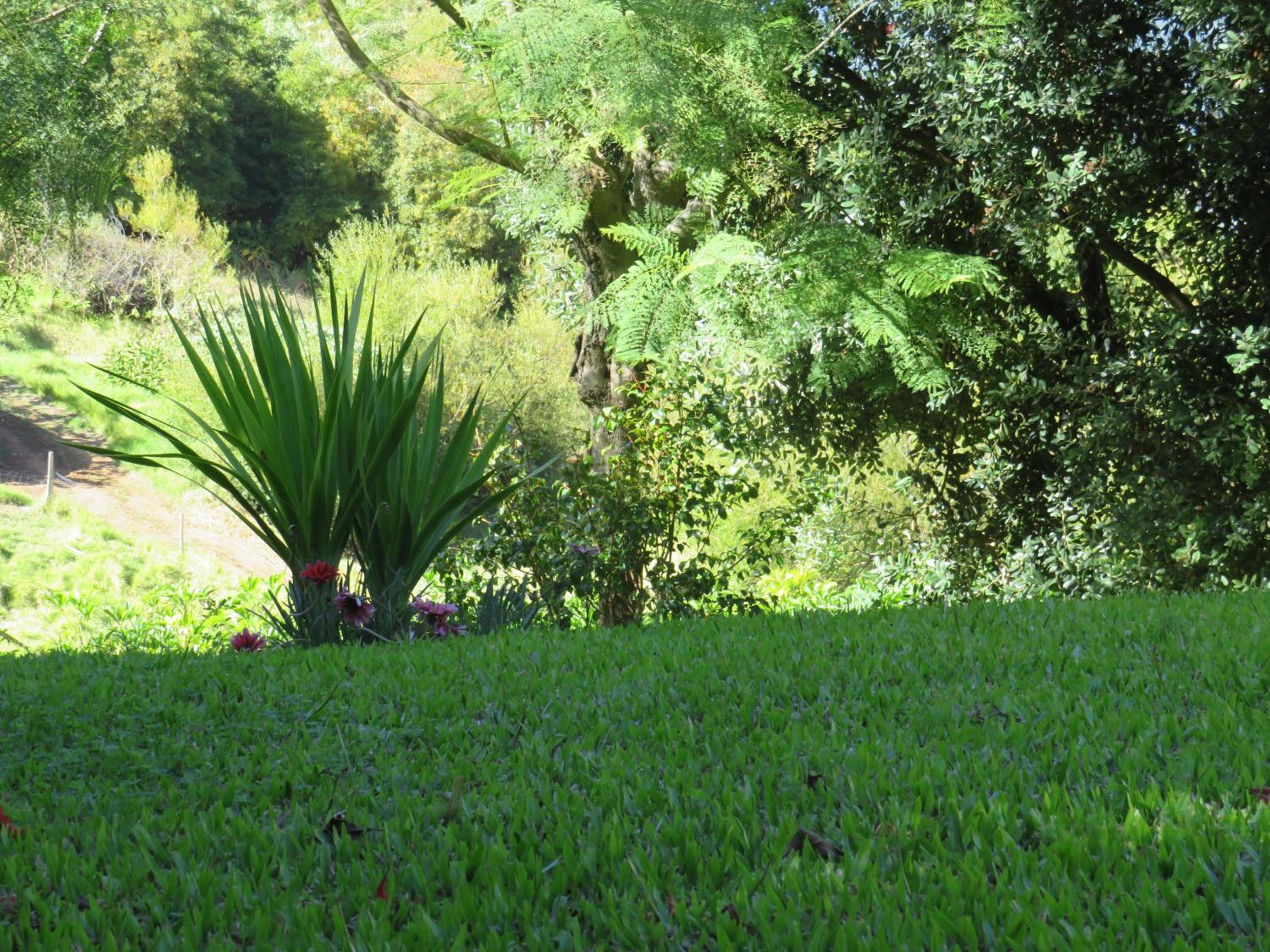 Solar do Carvalho view 3