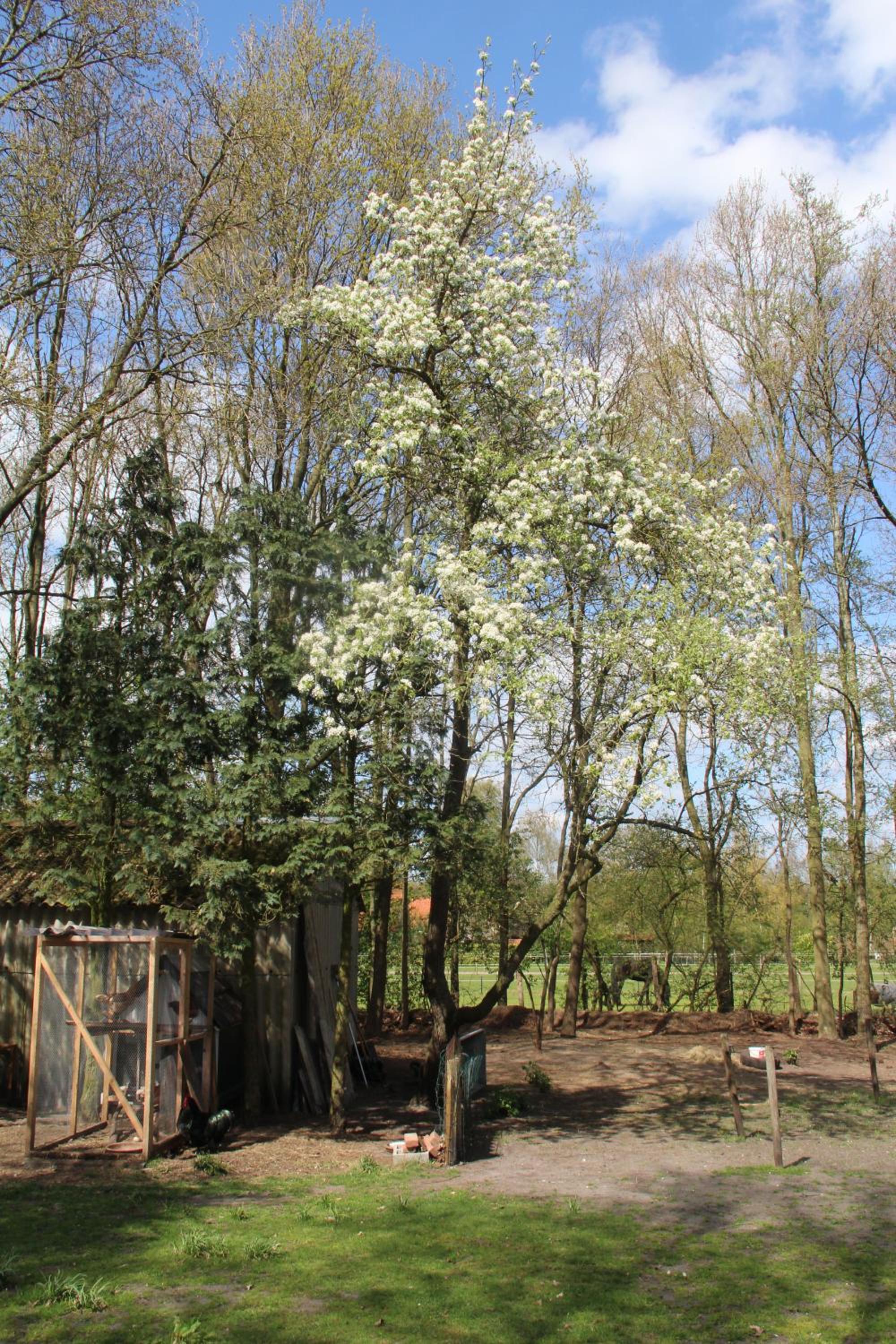 B&B In de Backerije view 5
